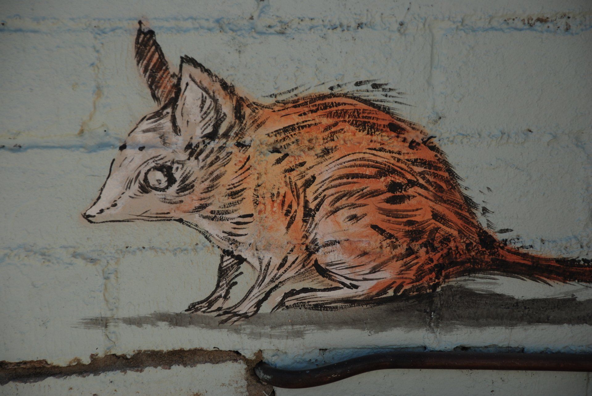 Collie Street Art, Australian Silo Art Trail