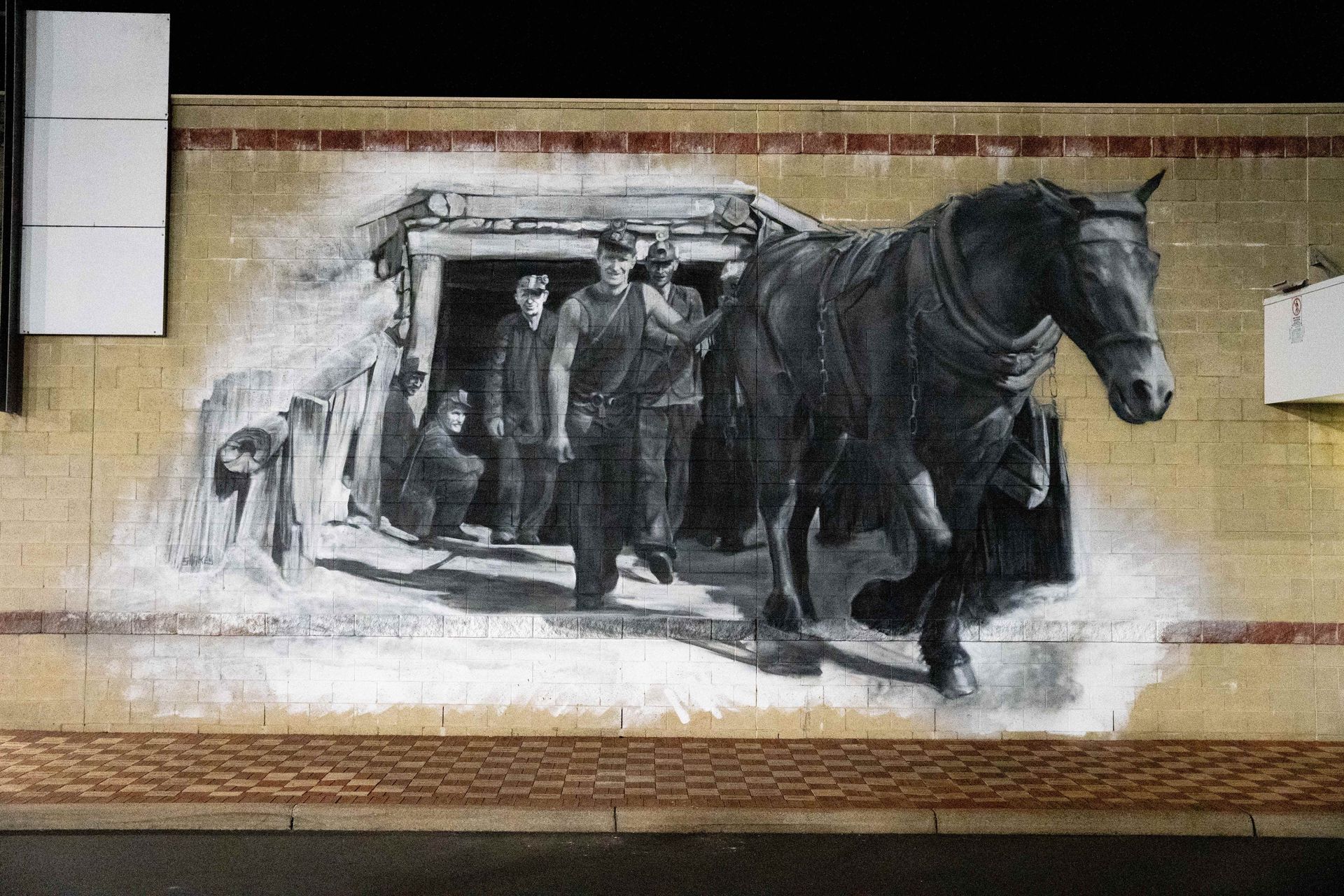 Jacob Butler (Shakey) Australian Silo Art Trail