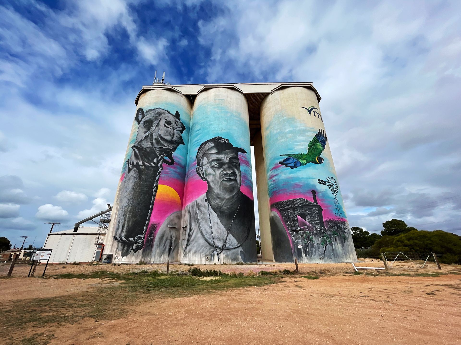 Australian Silo Art Trail, South Australian Silo Art Trail, Cowel Silo Art, NITSUA