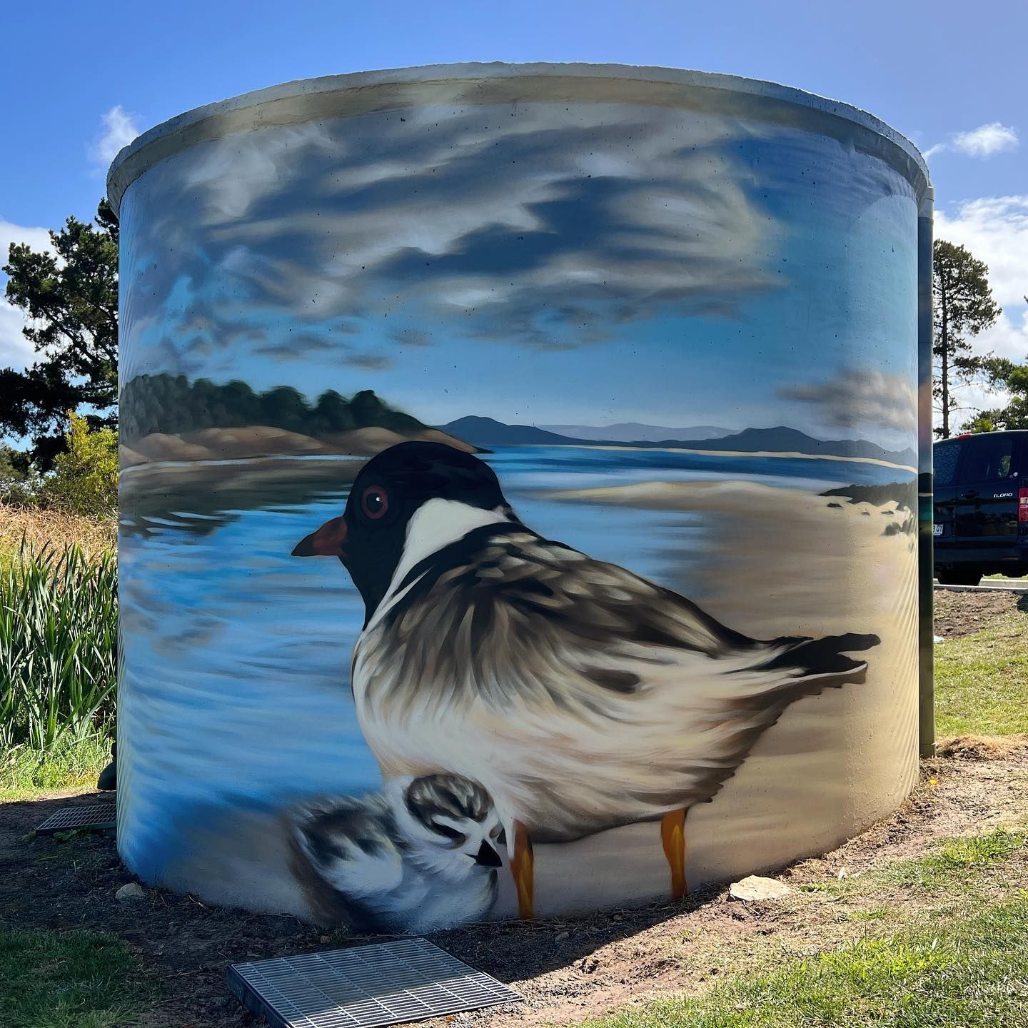 Dodges Ferry Tasmania, Australian Silo Art Trail