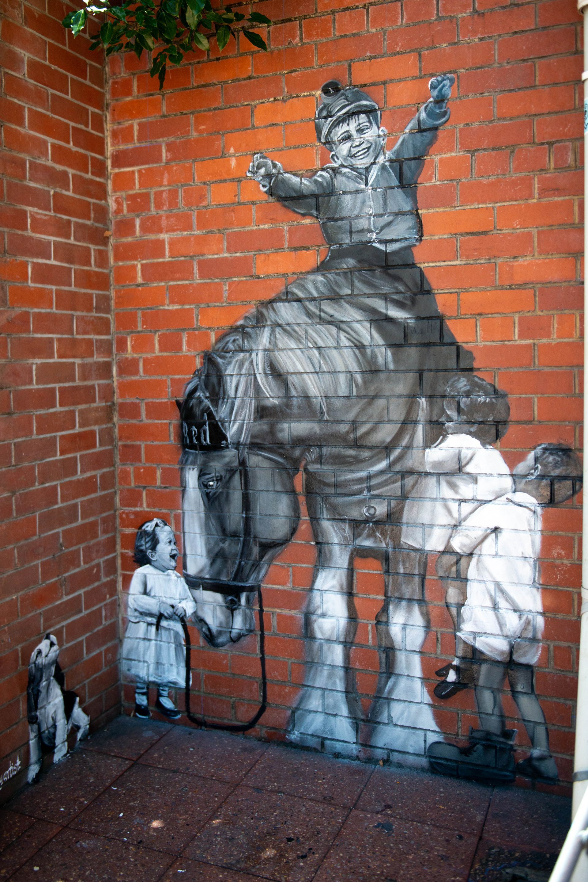Jacob Butler (Shakey) Australian Silo Art Trail