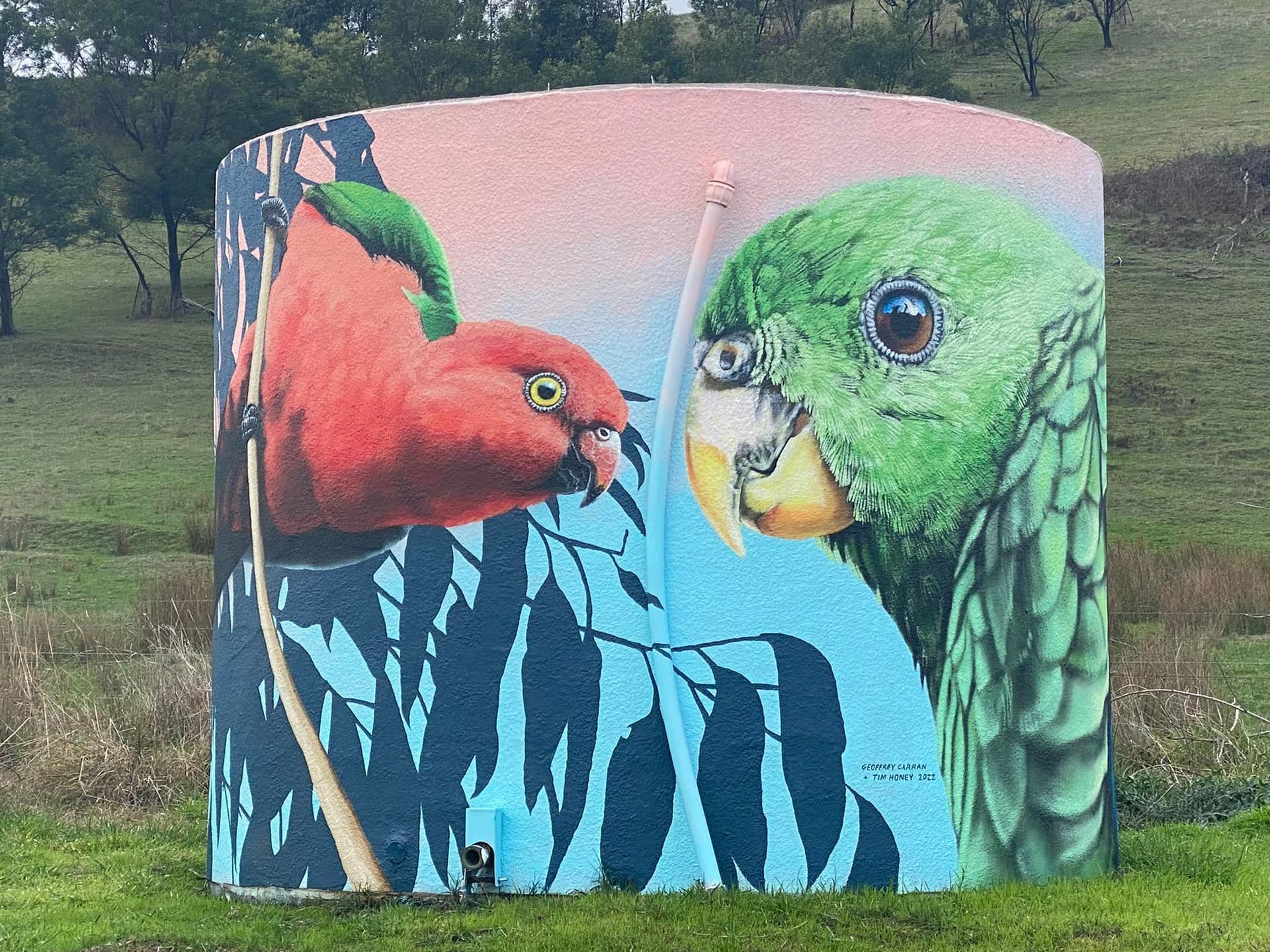 Flowerdale Water Tank Aet, Australian Silo Art Trail