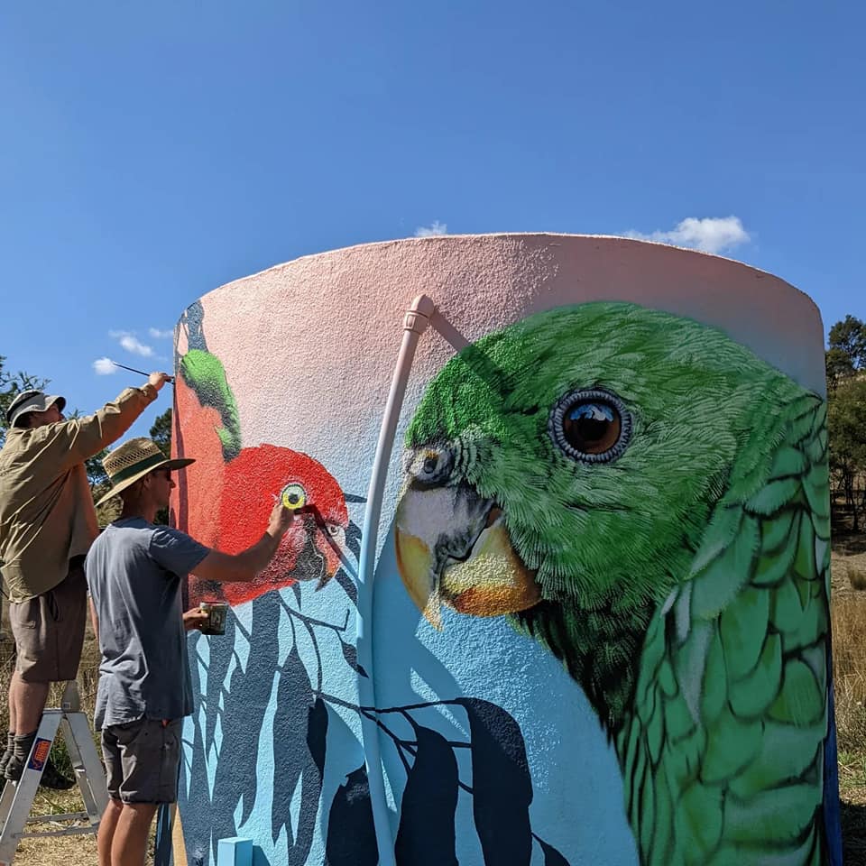 Flowerdale Water Tank Art, Australian Silo Art Trai