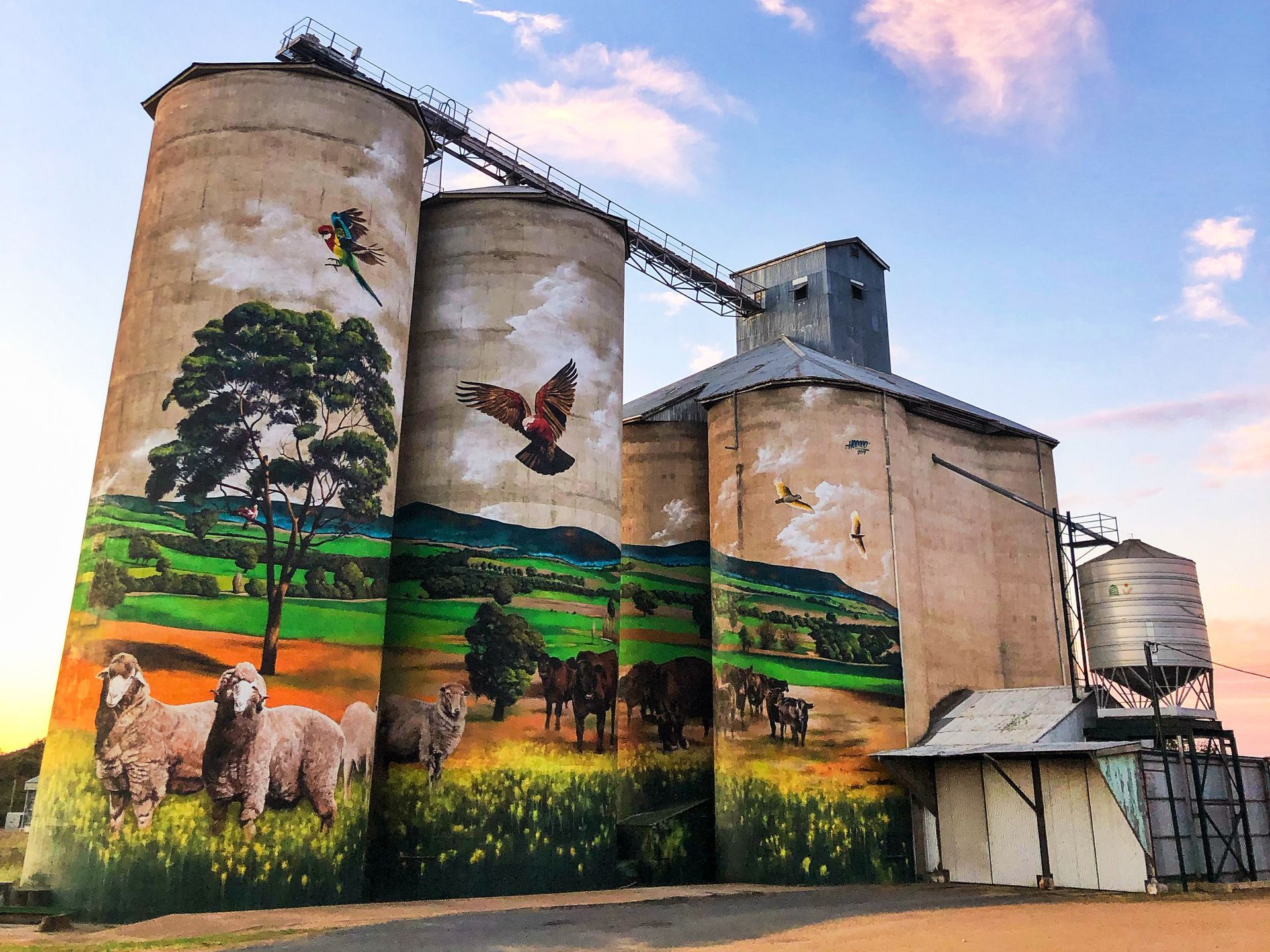 Weethalle Silo Art, New South Wales Silo Art, Australian Silo Art Trail