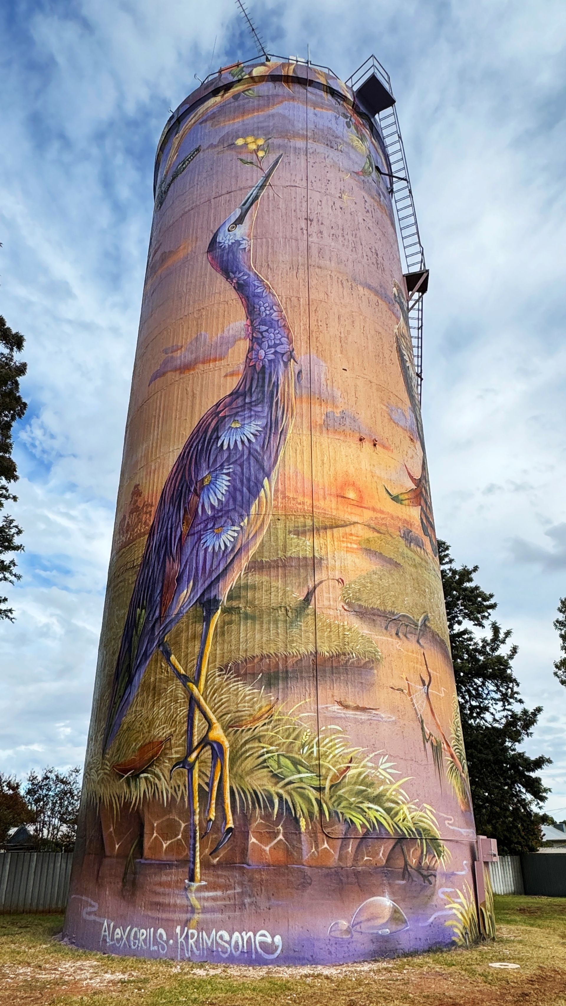Lockhart Water Tower Art, Australian Silo Art Trail