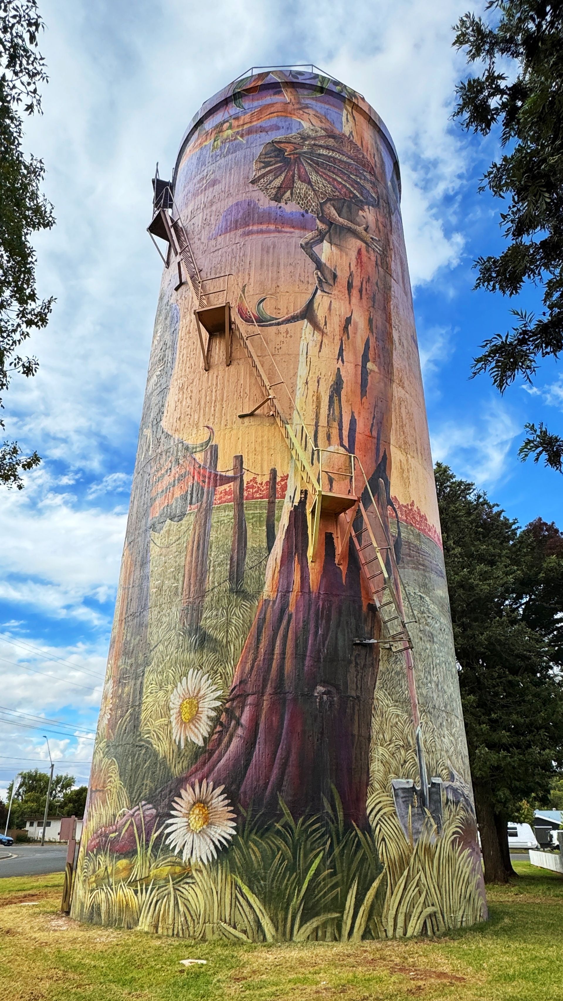 Hillston water  tower, Australian Silo Art Trail
