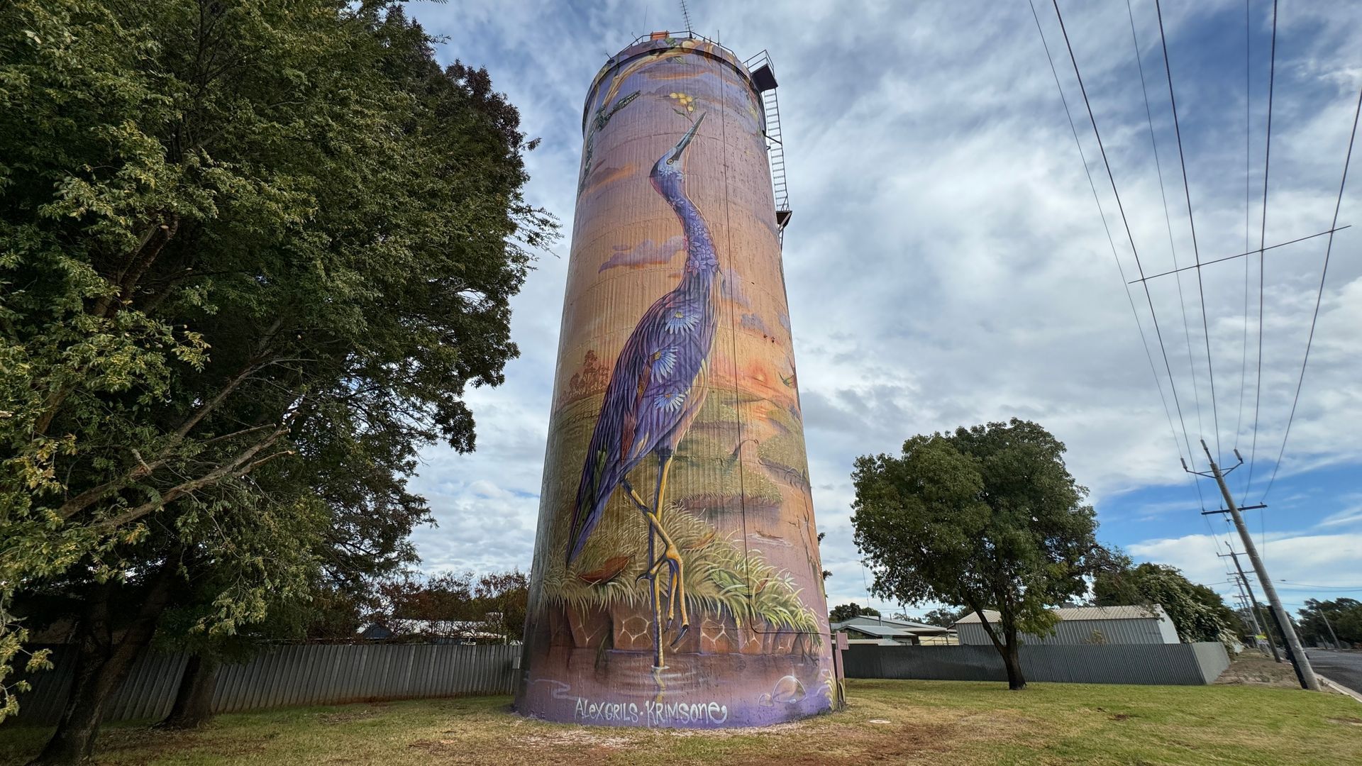 Narranderra Water Tower Art, Australian Silo Art Trail