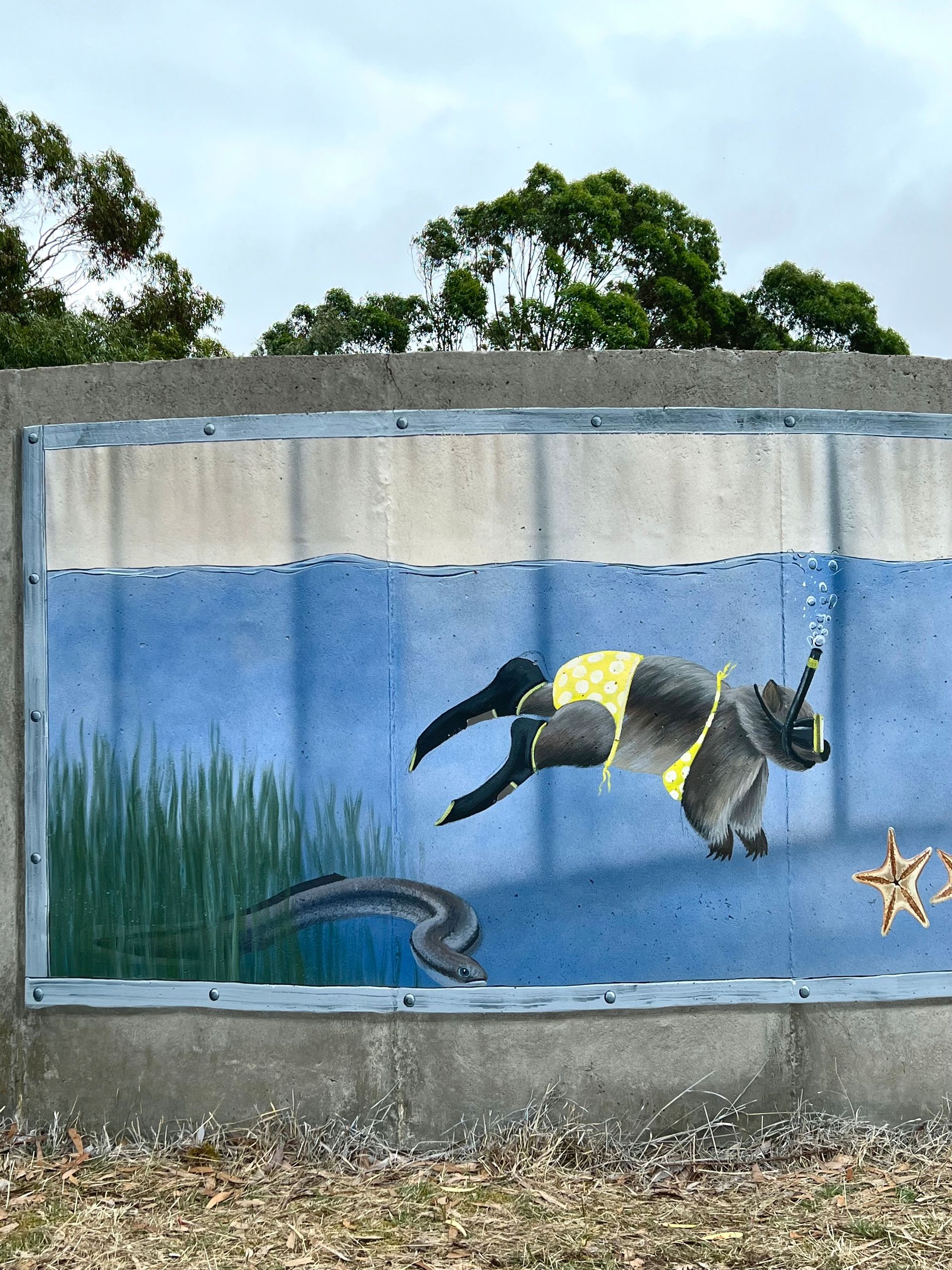 Merino Water Tank Art, Australian Silo Art Trail