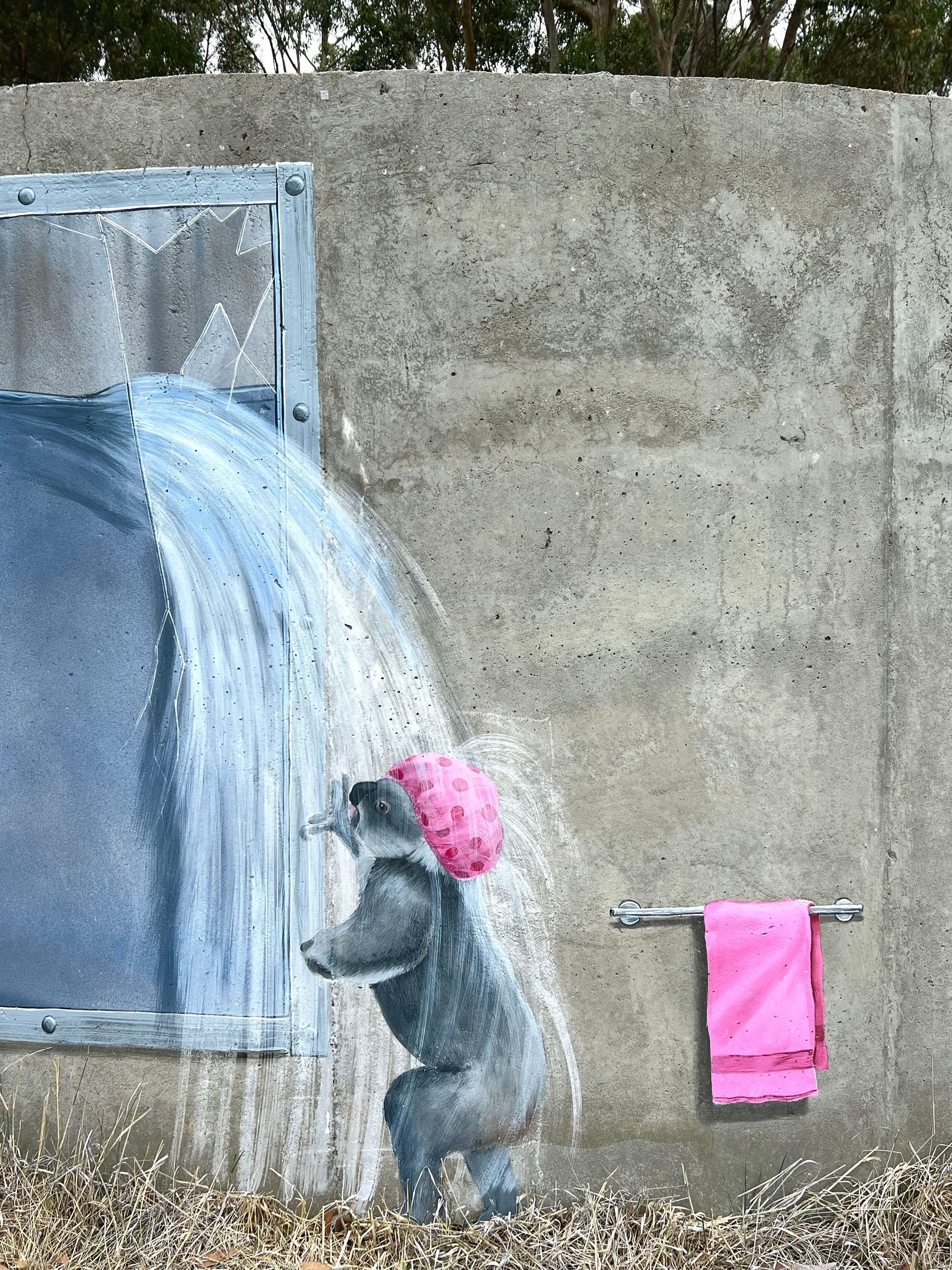 Merino Water Tank Art, Australian Silo Art Trail