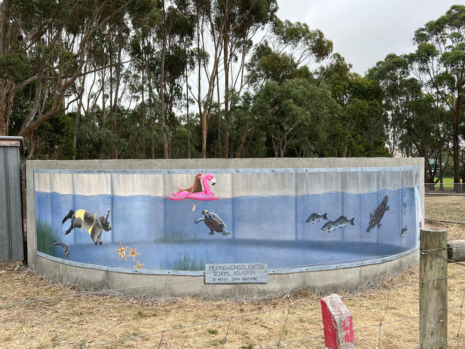 Merino Water Tank Art, Australian Silo Art Trail