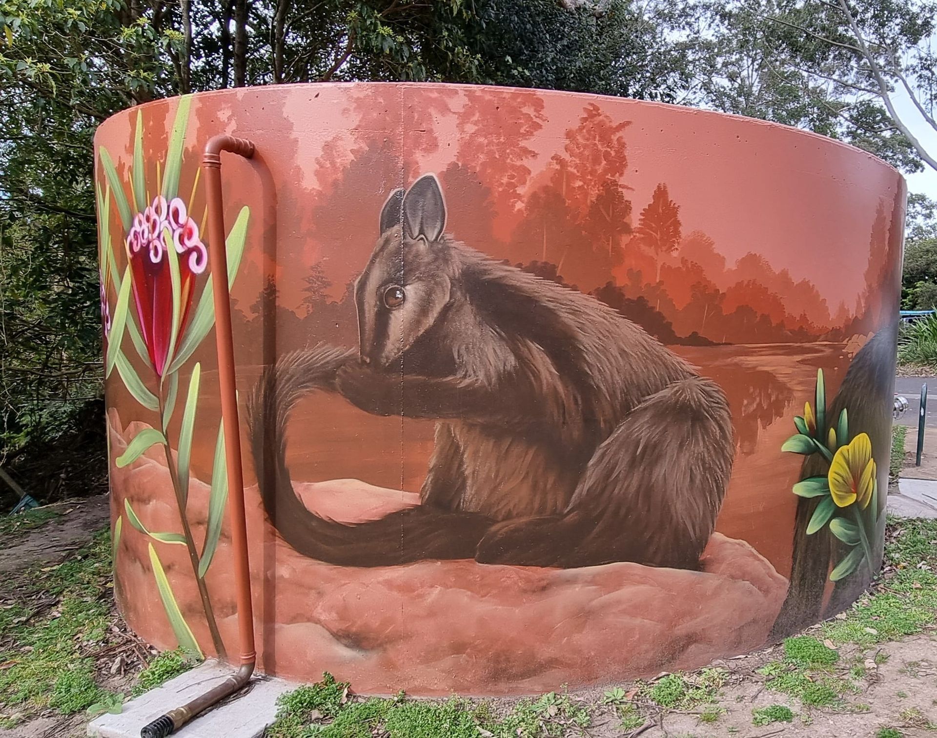 Kangaroo Valley, Water Tank Art, Australian Silo Art Trail