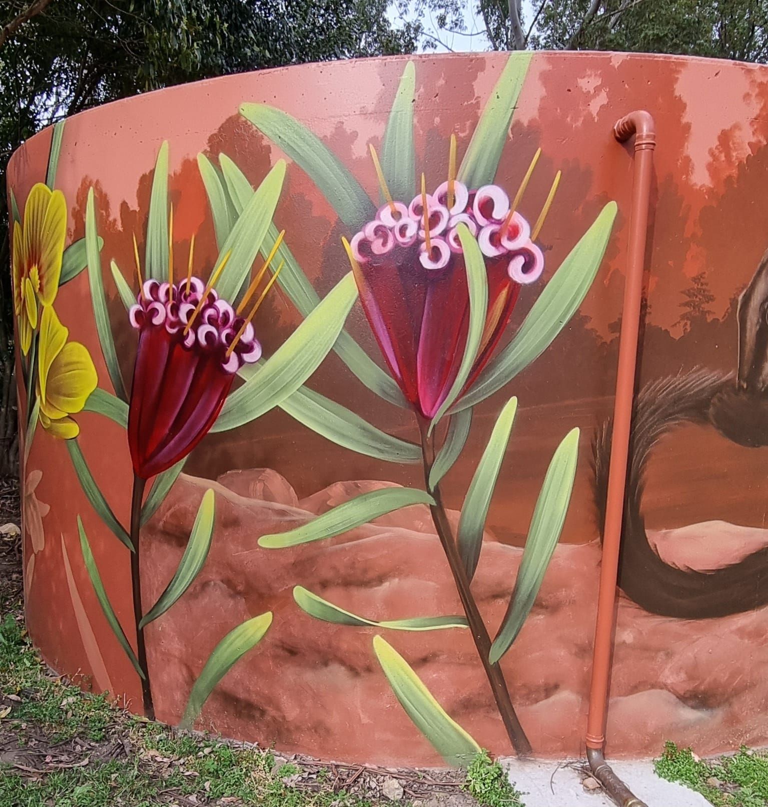 Kangaroo Valley, Water Tank Art, Australian Silo Art Trai