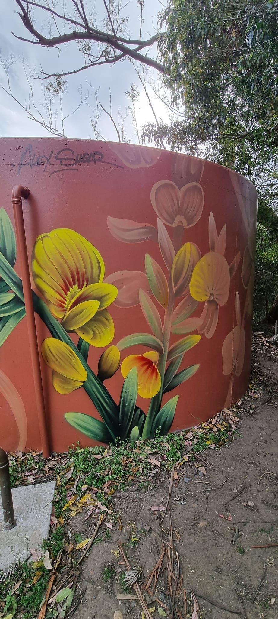 Kangaroo Valley, Water Tank Art, Australian Silo Art Trai
