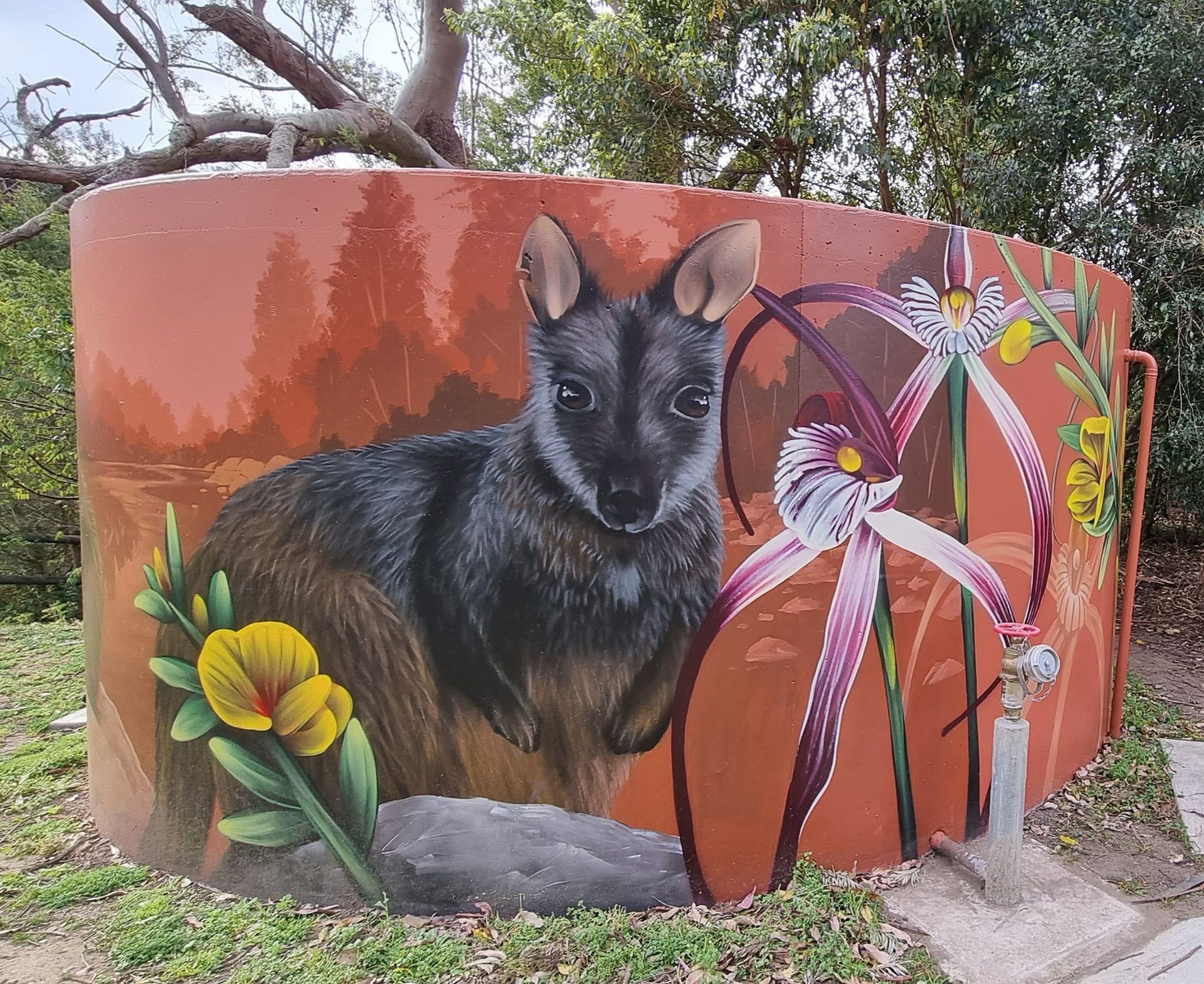 Wagga Wagga RAAF Water Tank Art, Australian Silo Art trail