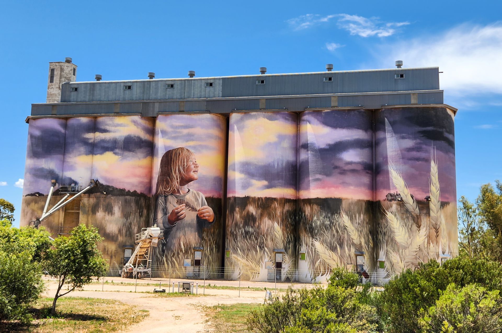 Australian Silo Art Trail, South Australian Silo Art Trail, Kimba Silo Art, Cam Scale