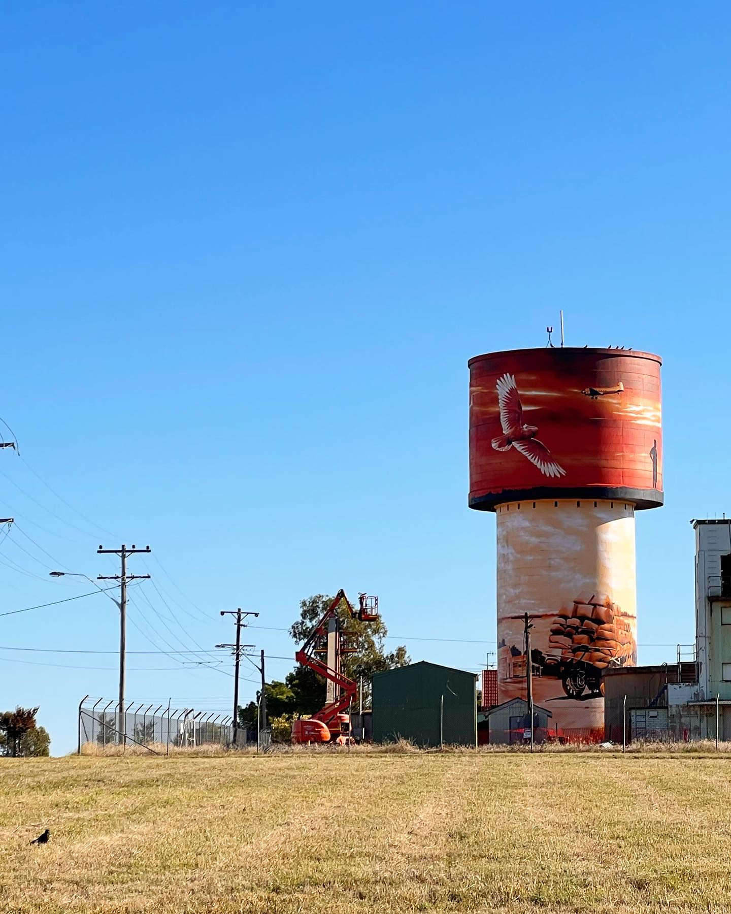 Lake Cargelligo Water Tower Art, Australian Silo Art Trail