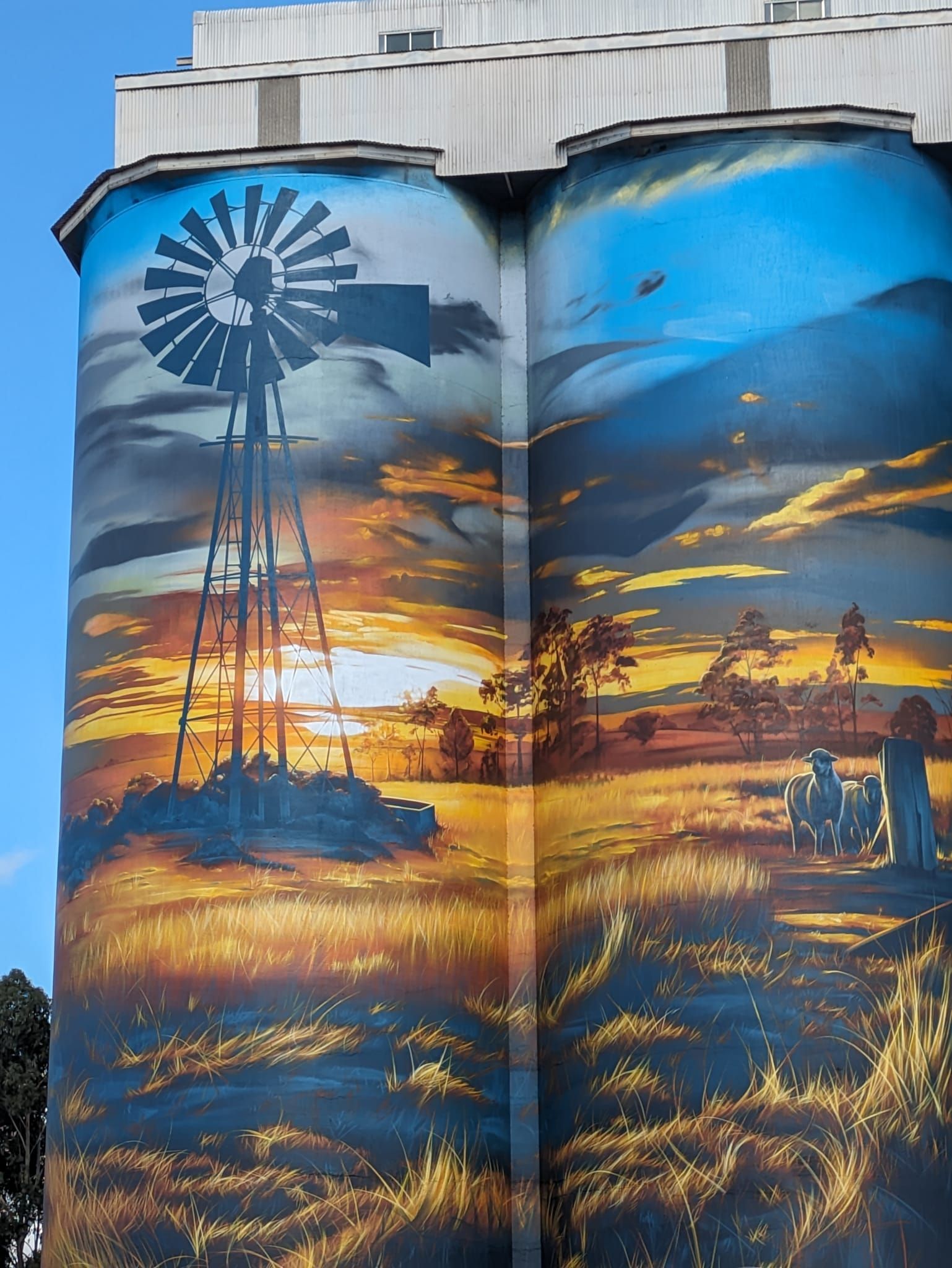 Lameroo Silo Art, Australian silo Art Trail
