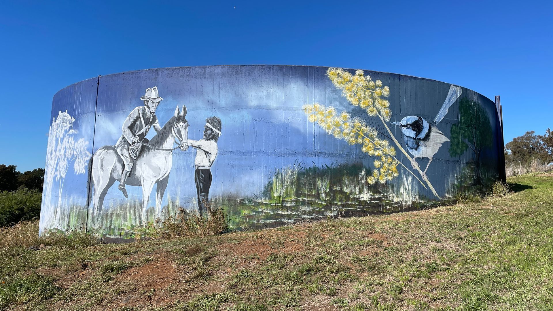 Molong Water Tank Art, Australian Silo Art trail