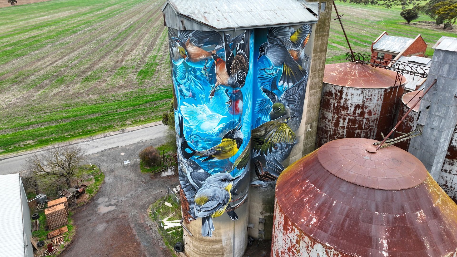 Murtoa Silo Art, Australian Silo Art Trail