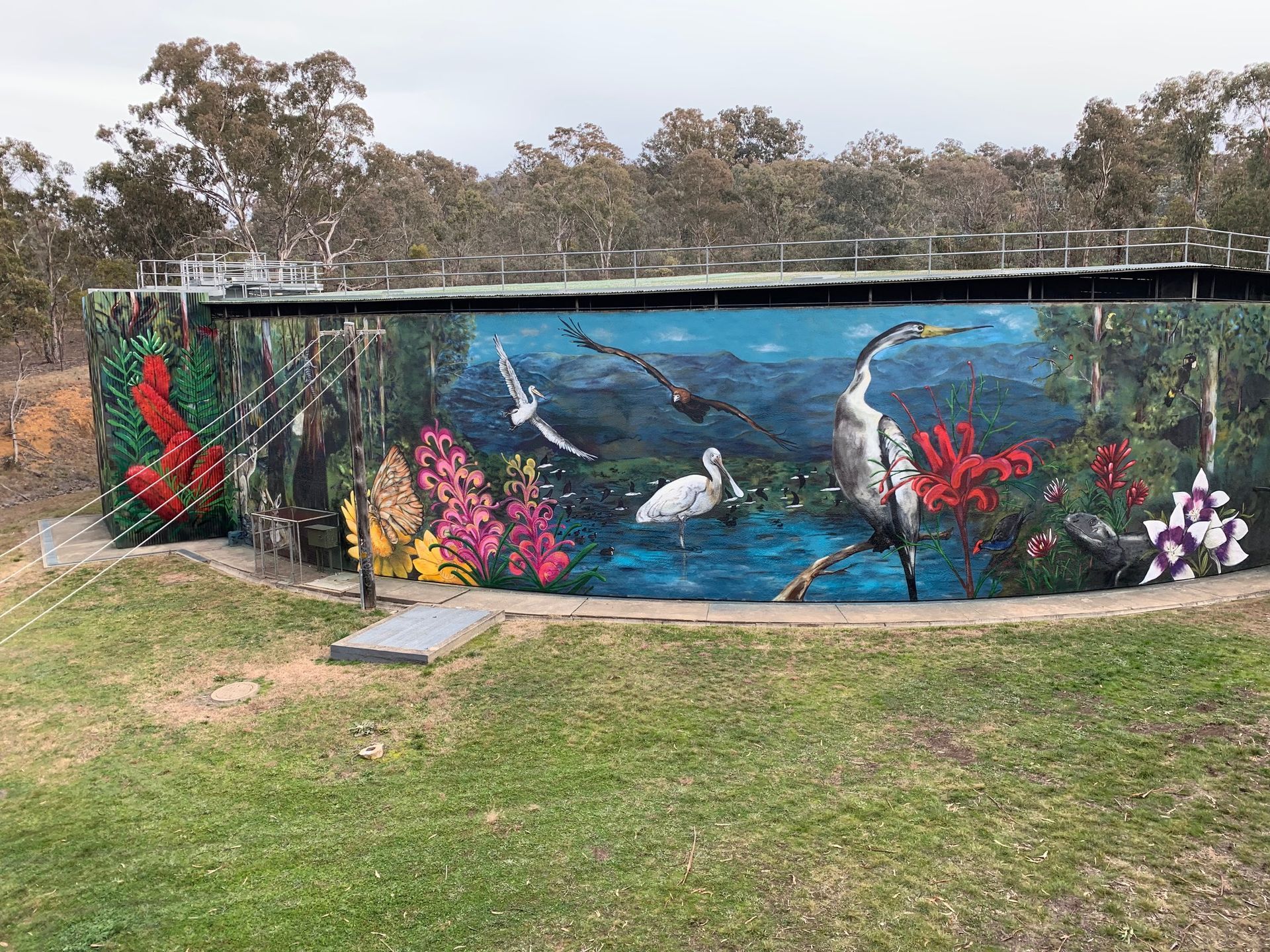 Narrabundah Water Tank Art, Australian Silo Art Trail