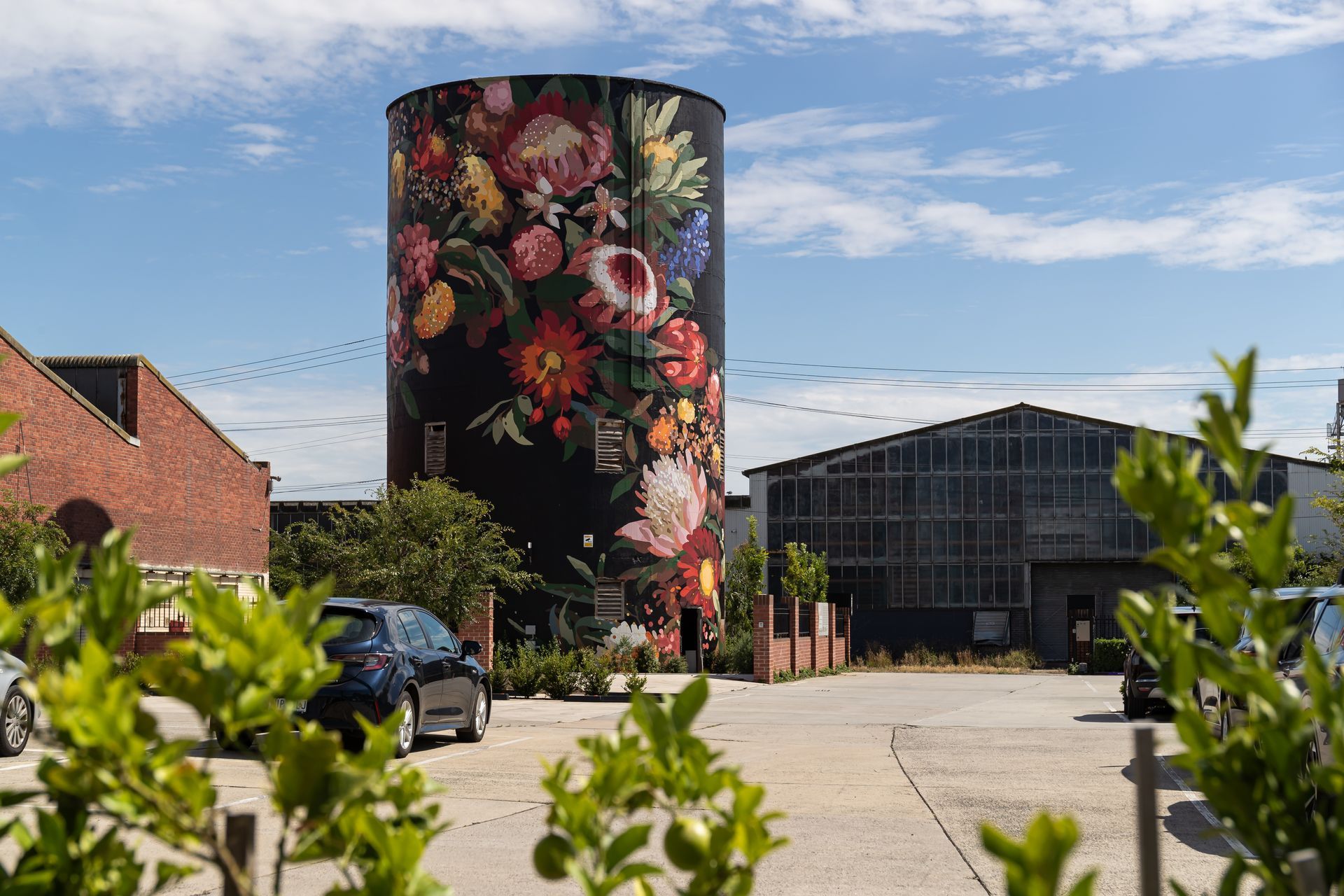 North Geelong Silo Art, Australian Silo Art Trail