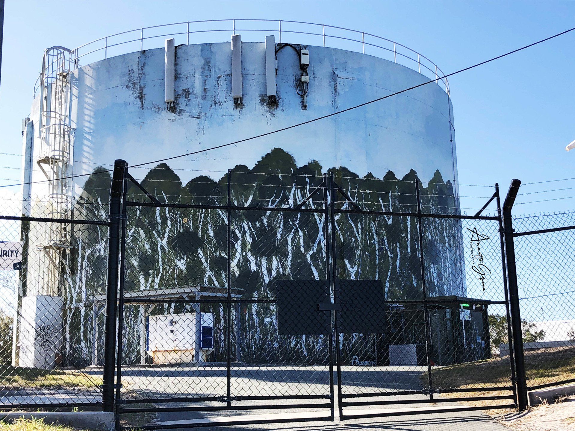 Peregian beach Water Tank Art, Australian Silo Art Trail