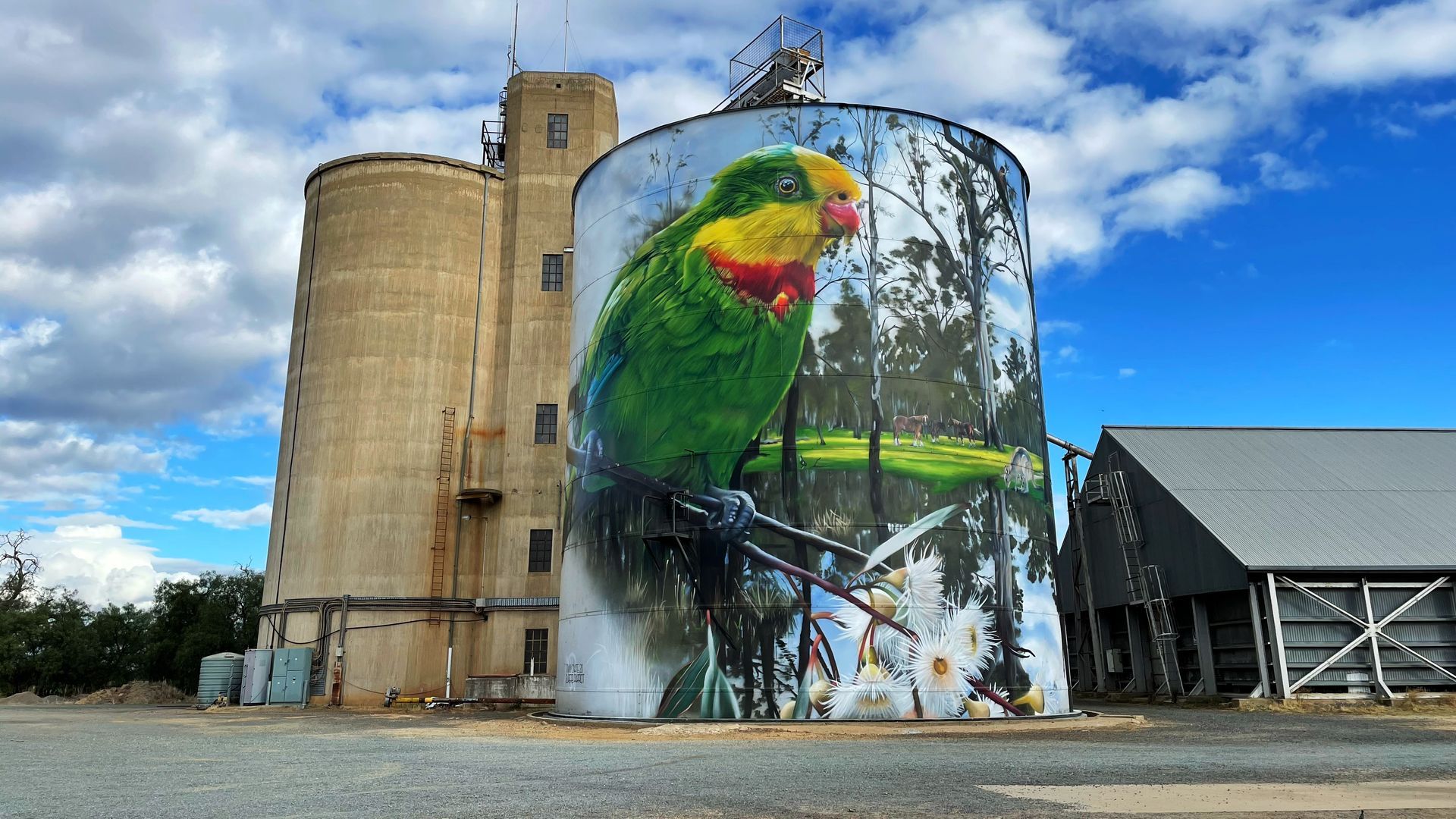Picola Silo Art, Australian Silo Art Trail