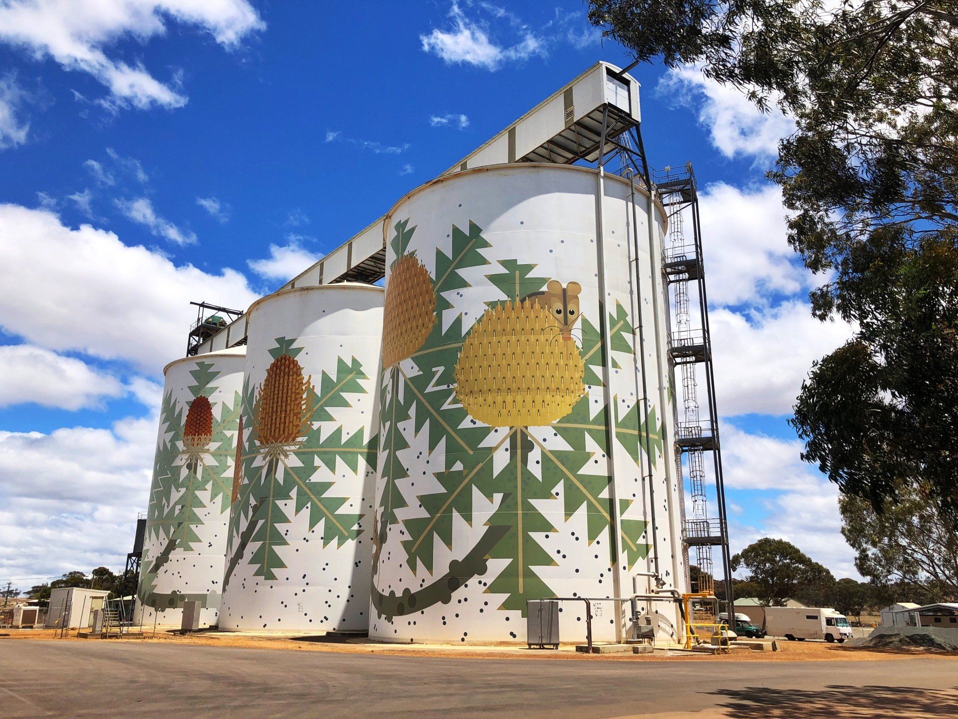 Ravensthorpe Silo Art, Australian Silo Art