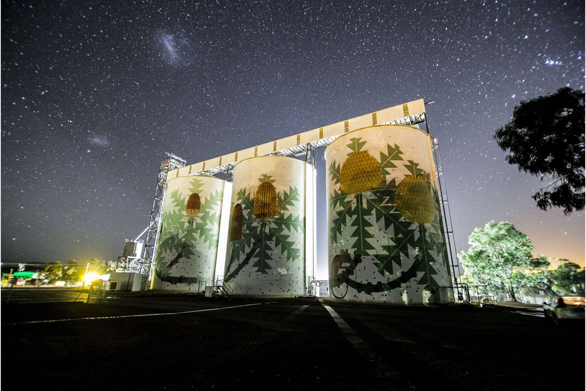 Newdegate Silo Art, Western Australia silo art, Australian Silo Art Trail, PUBLIC SILO TRAIL IN WESTERN AUSTRALIA