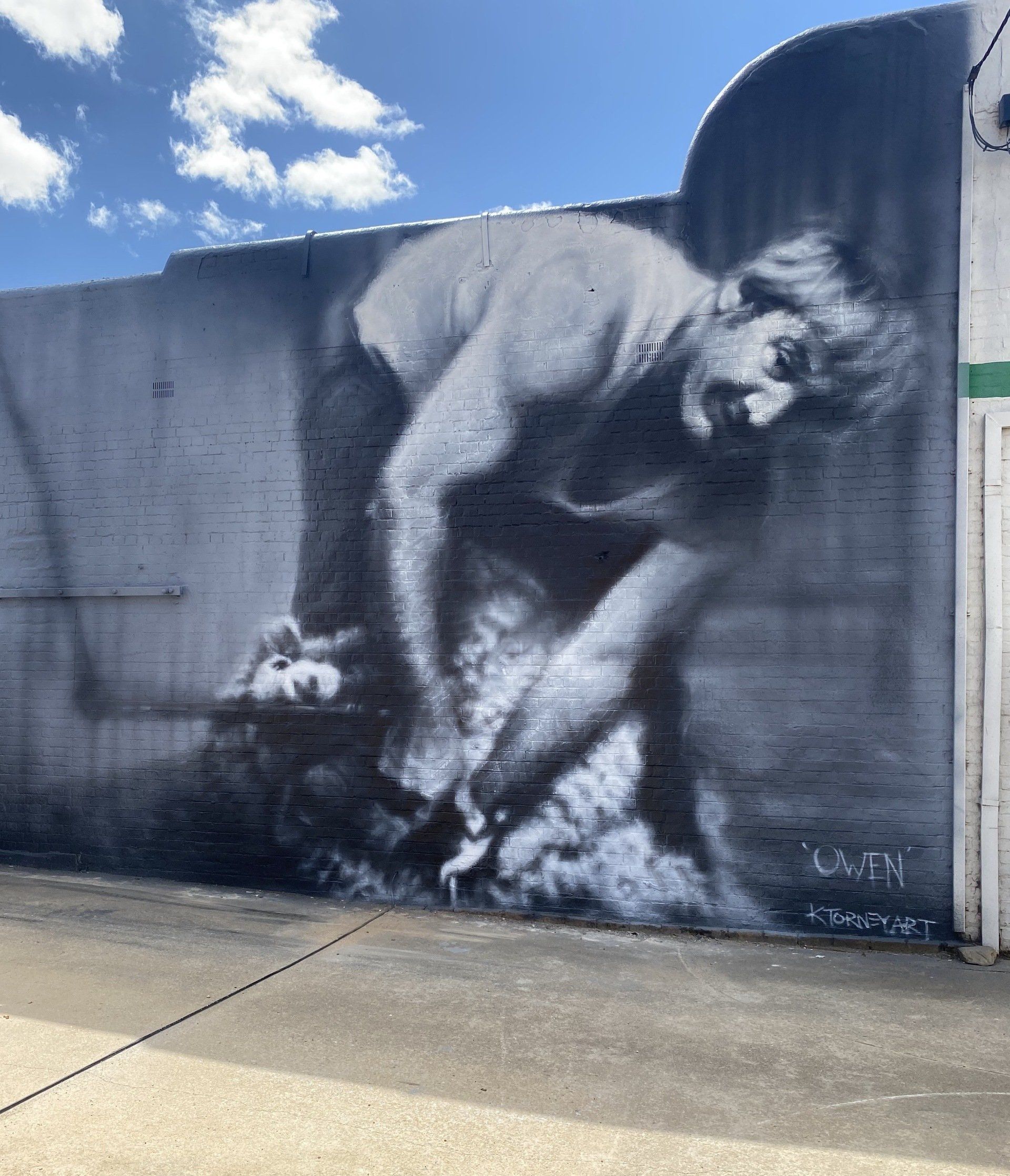 St Arnaud Street Art, Australian Silo Art Trail