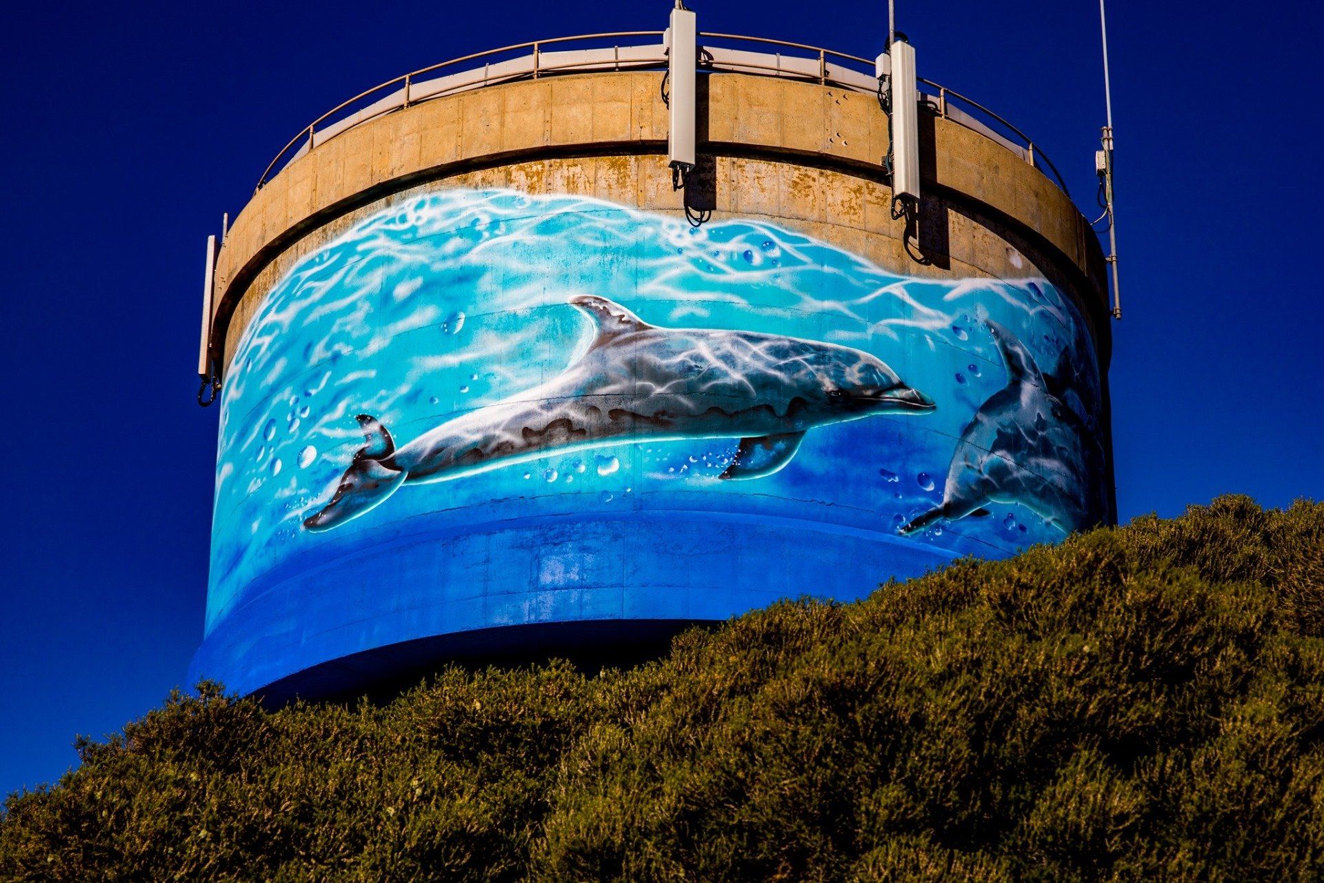 Stansbury Water Tower Art, Australian Silo Art Trail