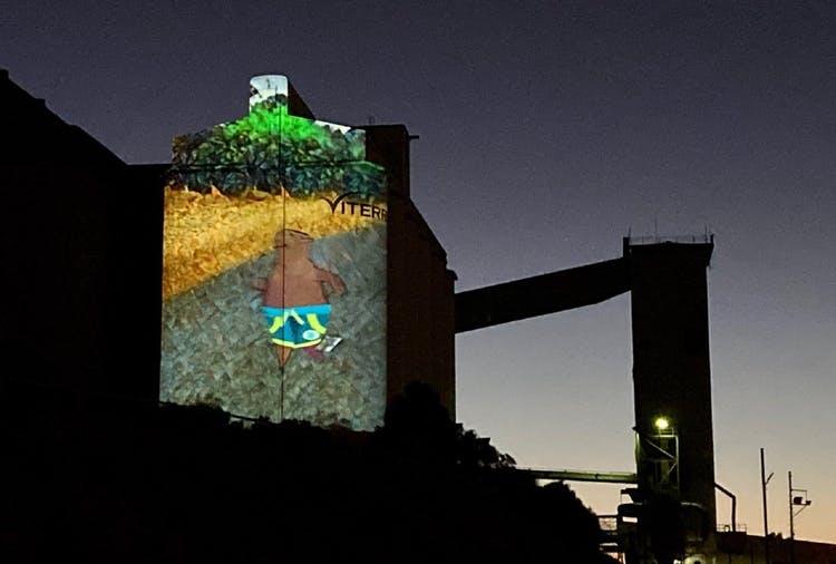 Wallaroo silo light show