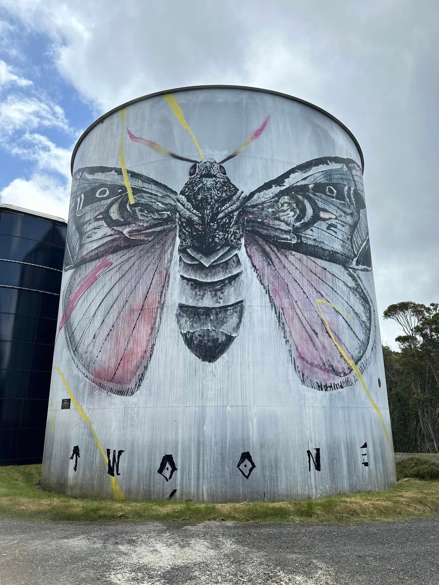 Victorian Water Tower Art, Australian Silo Art Trail, Victorian painted water tanks, Falls Creek water tank art
