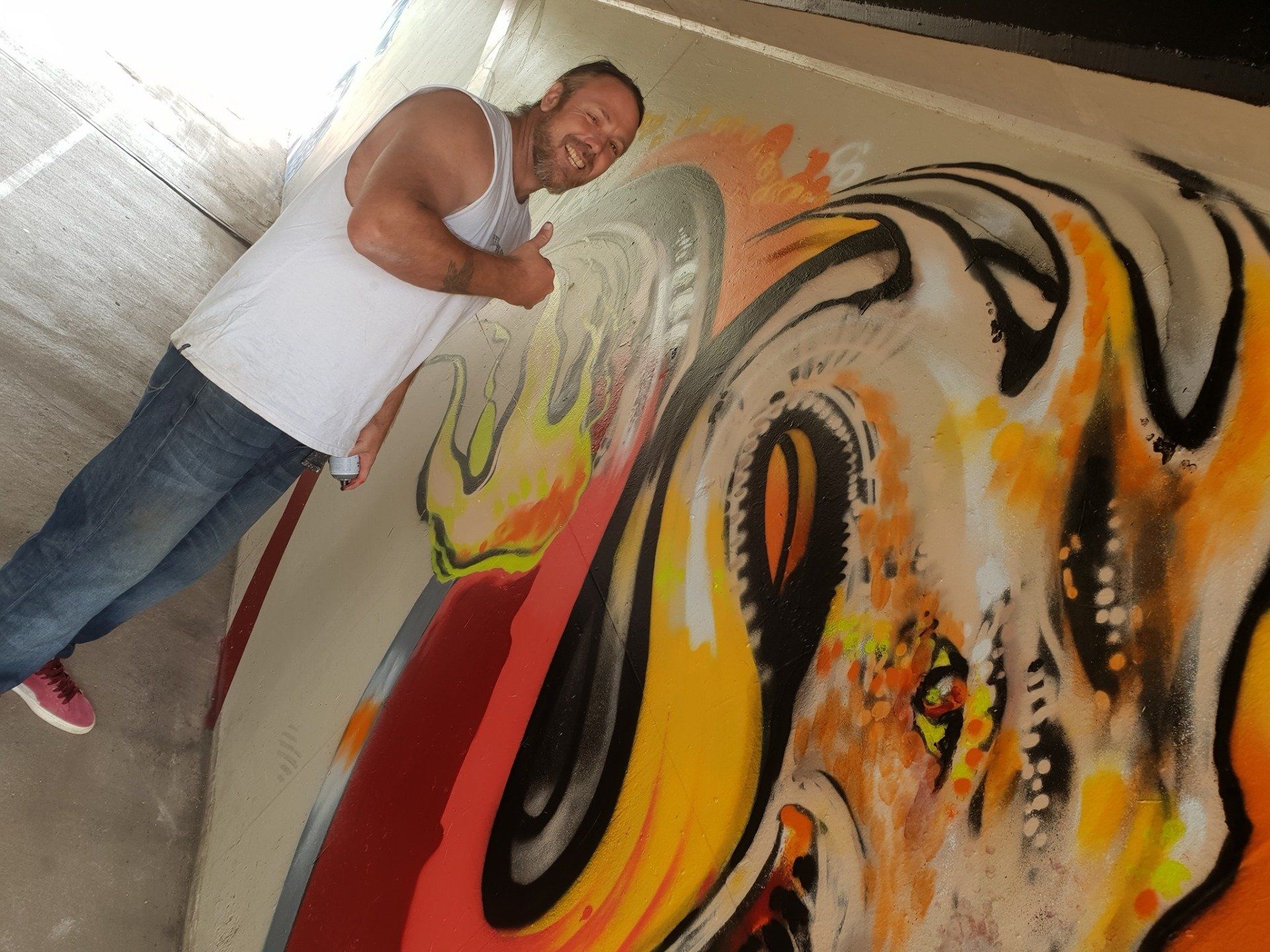Australian Silo Art Trail, Smizdog, Water Tower Artist, Street Artist
