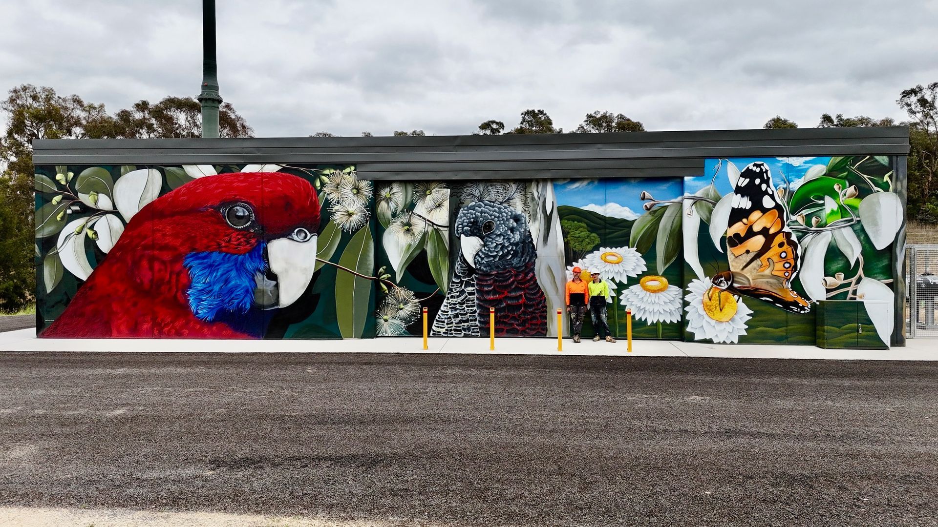 Sam Brooks Artist, Australian Silo Art Trail