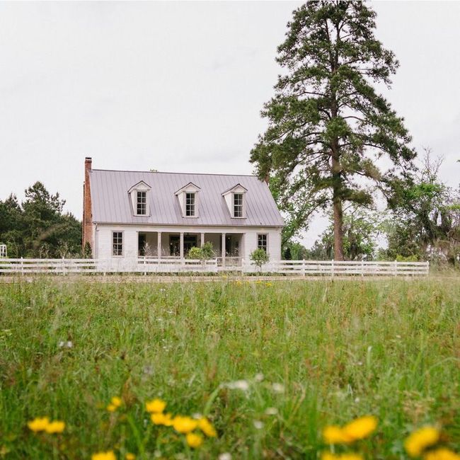 house and grass with yellow flowers