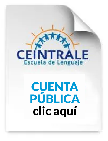 Ceintrale Escuela de Lenguaje, Cuenta Pública