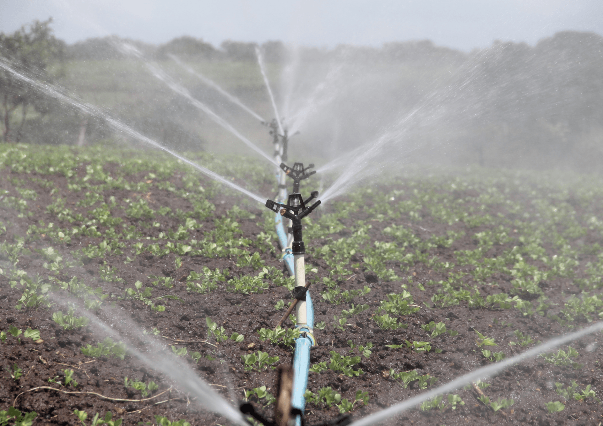 Ecolabore Engenharia