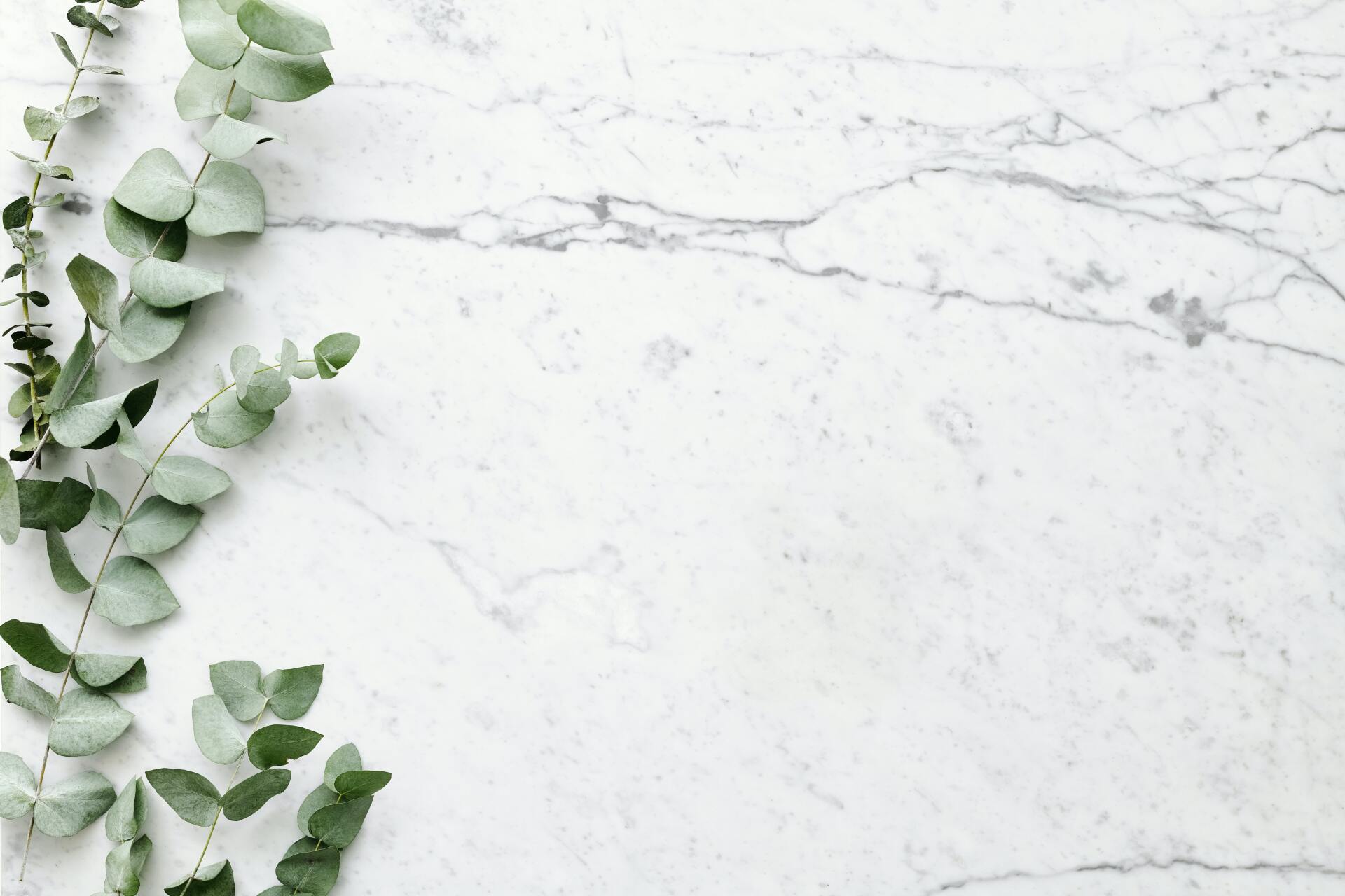 Ecolabore Engenharia