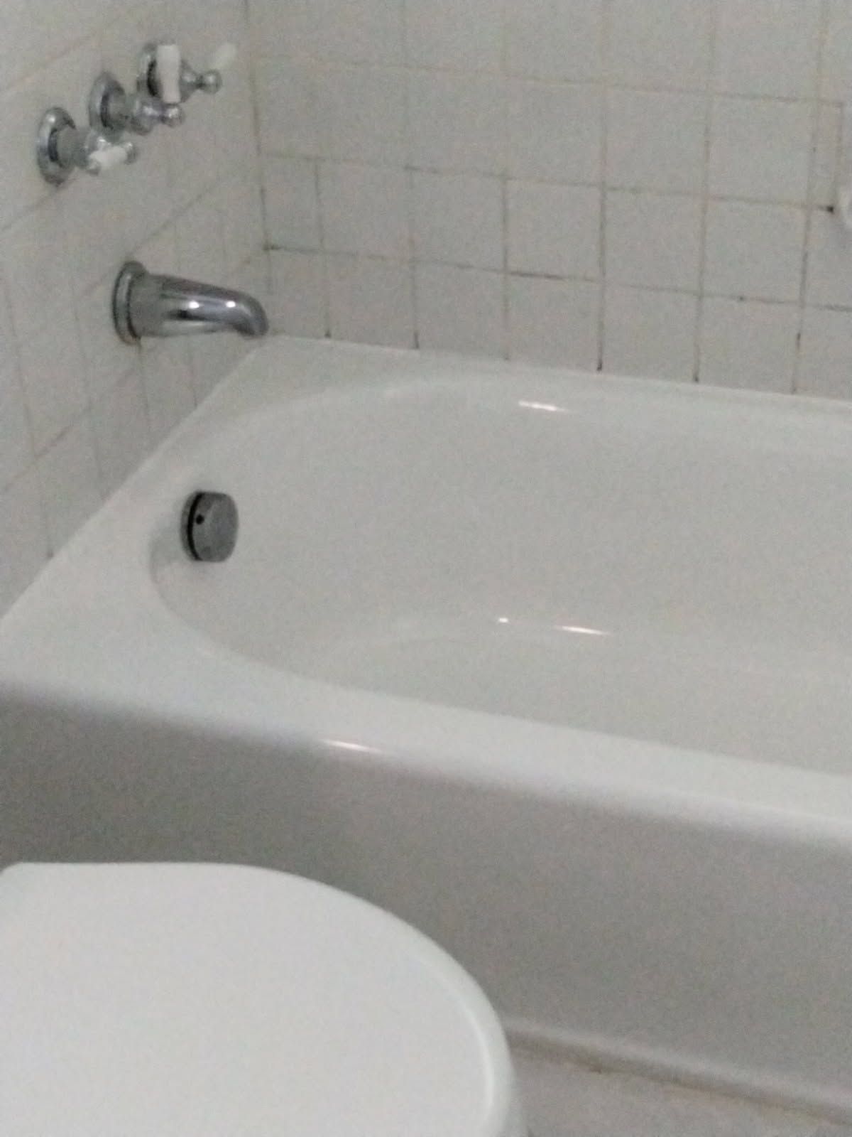 White bathtub with chrome faucet and showerhead, and a white toilet seat.