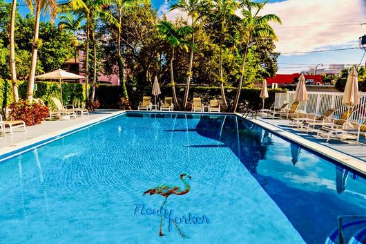 Blue swimming pool with lounge chairs and tropical palm trees on a sunny day