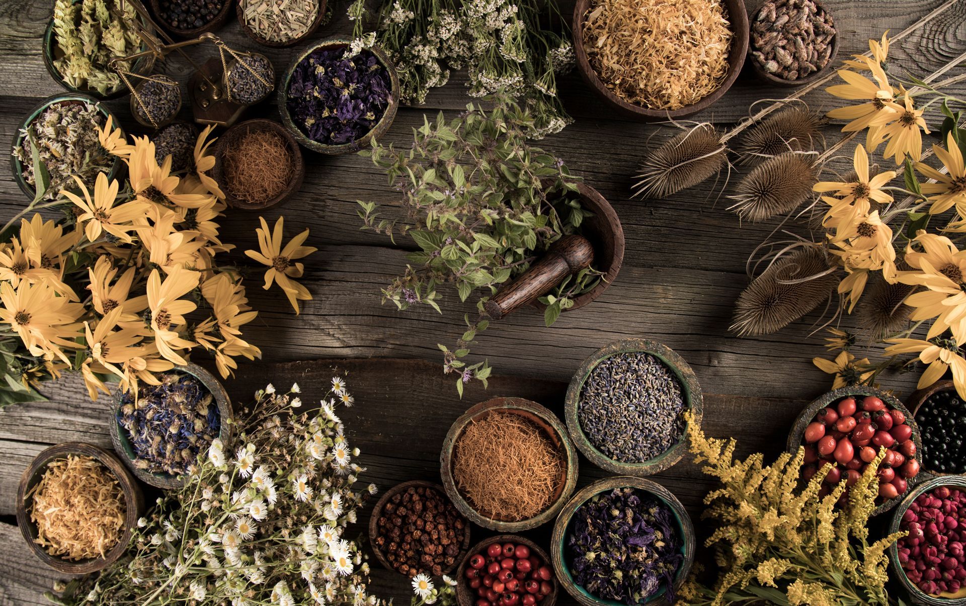 Herbal Medicine