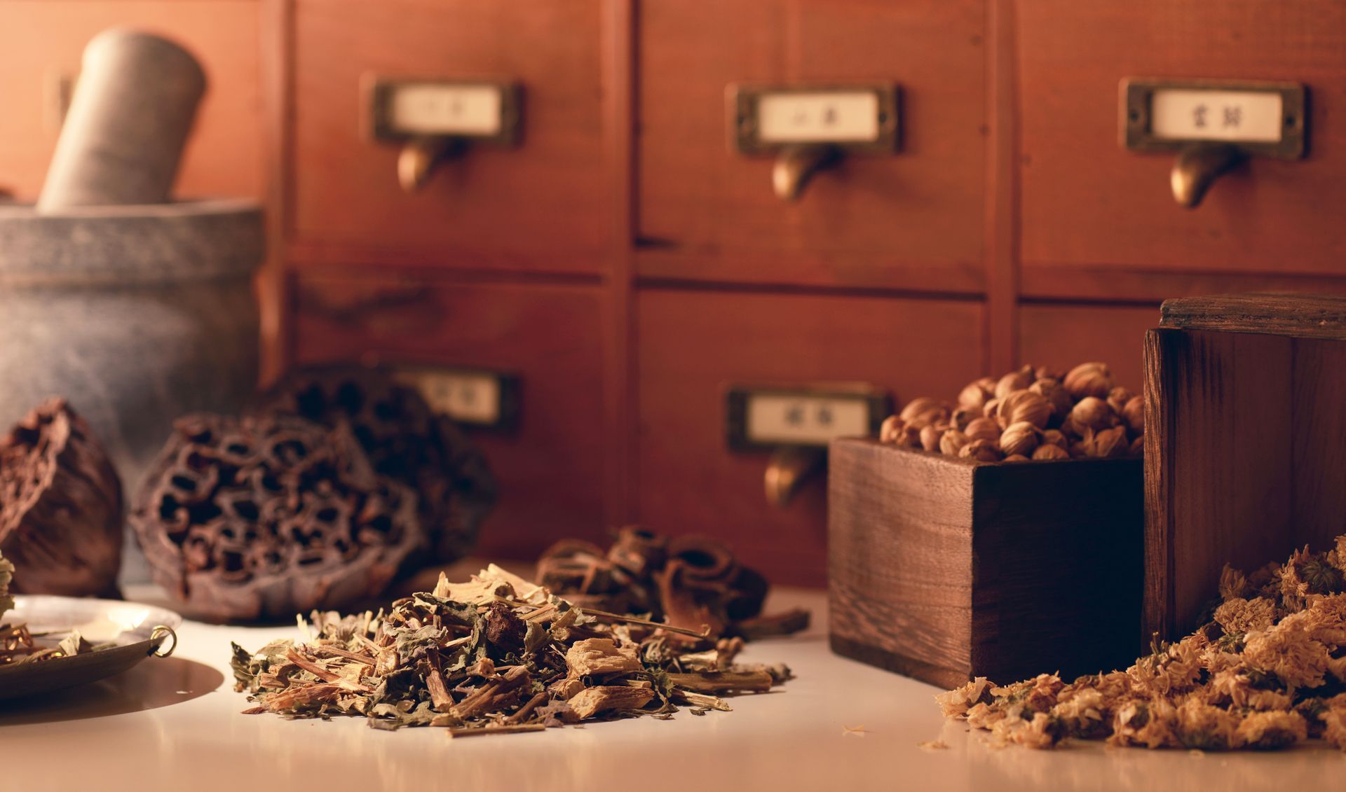 Chinese Herbal Medicine