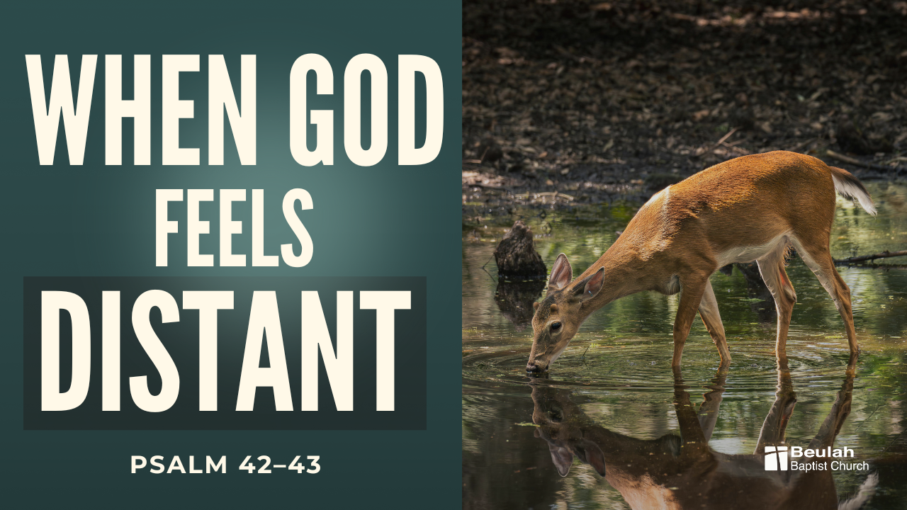 Beyond Sunday graphic asking, “Why Does the World Rebel Against God?” from Psalm 2 at Beulah Baptist Church.
