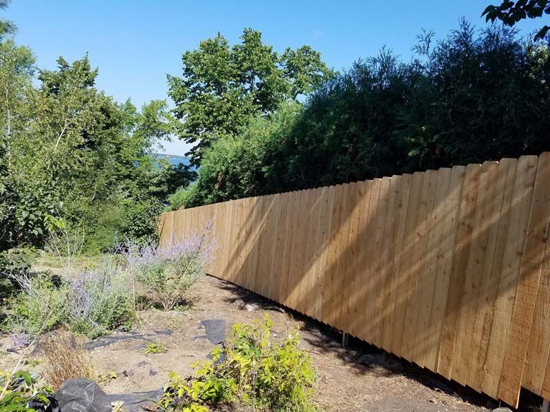 Wooden fence along a dry landscaped path with shrubs and trees under a clear blue sky