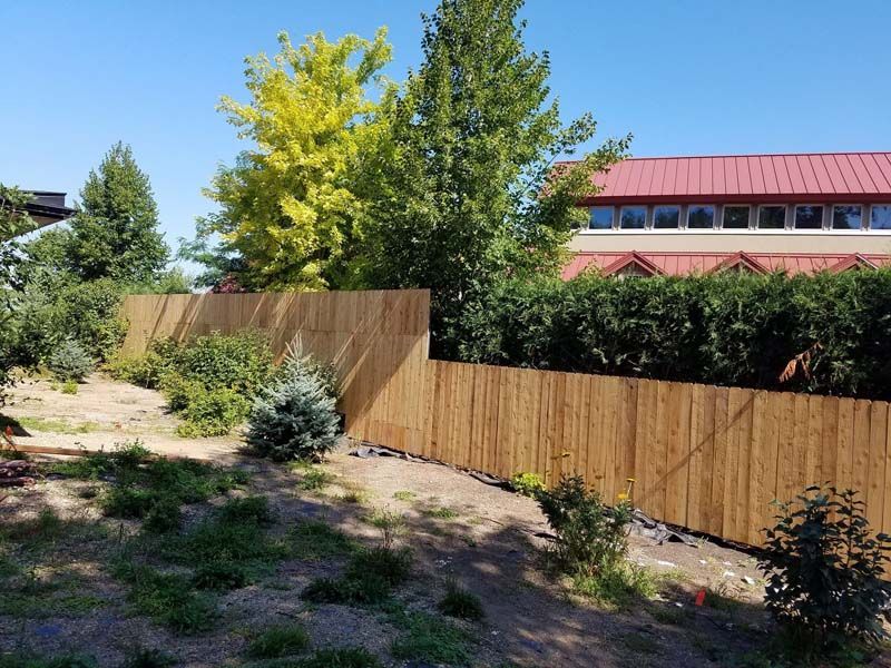 Sunny yard with a wooden fence, shrubs, and a red-roofed building in the background