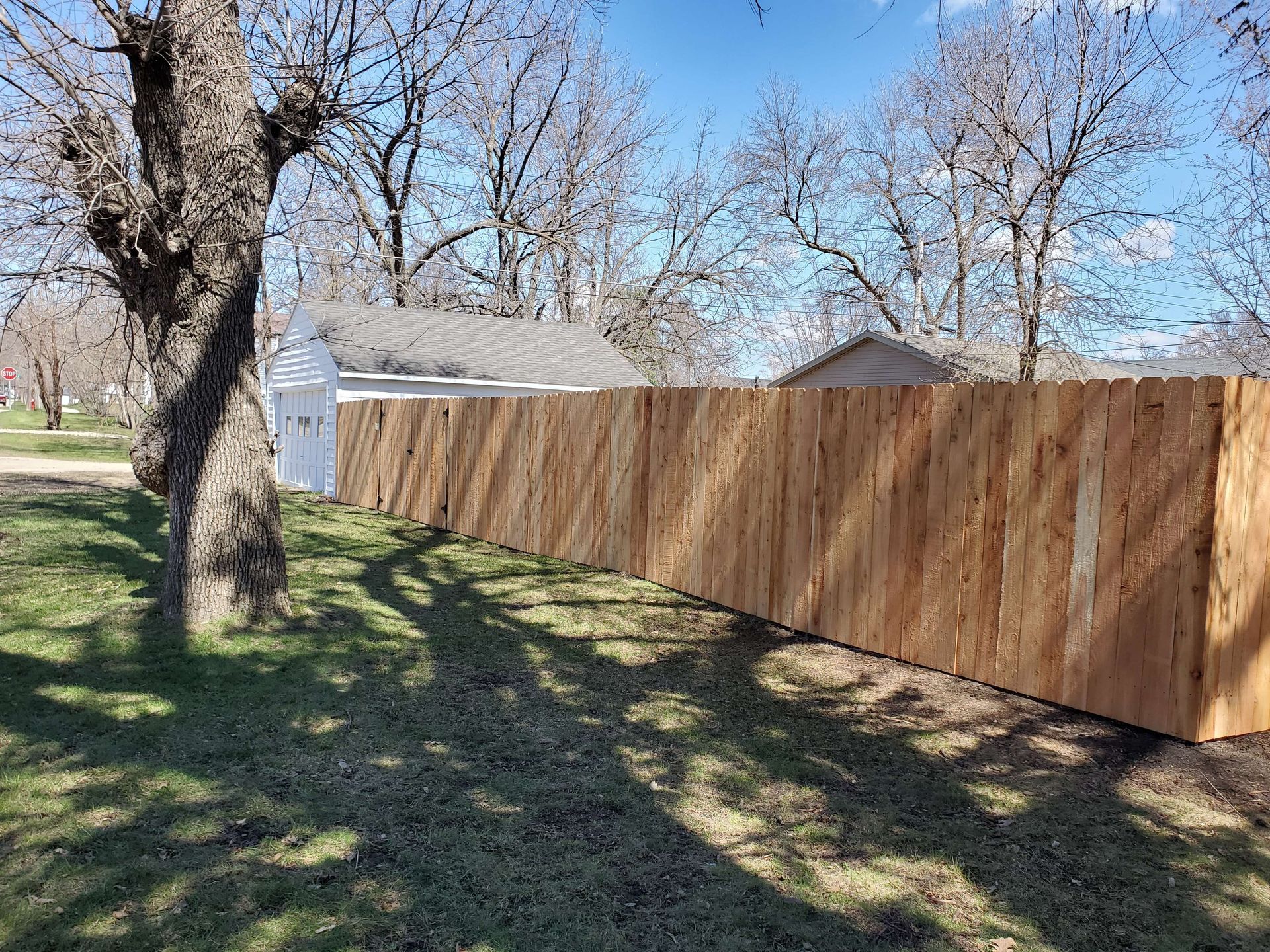 Wooden privacy fence along a grassy yard beside leafless trees and a shed under a blue sky