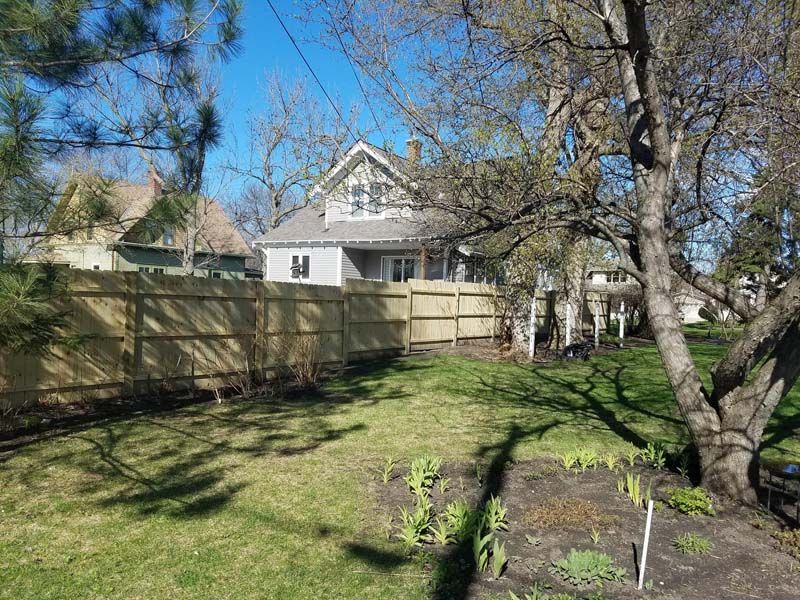 Backyard with green lawn, wooden fence, bare trees, and a white house under a blue sky