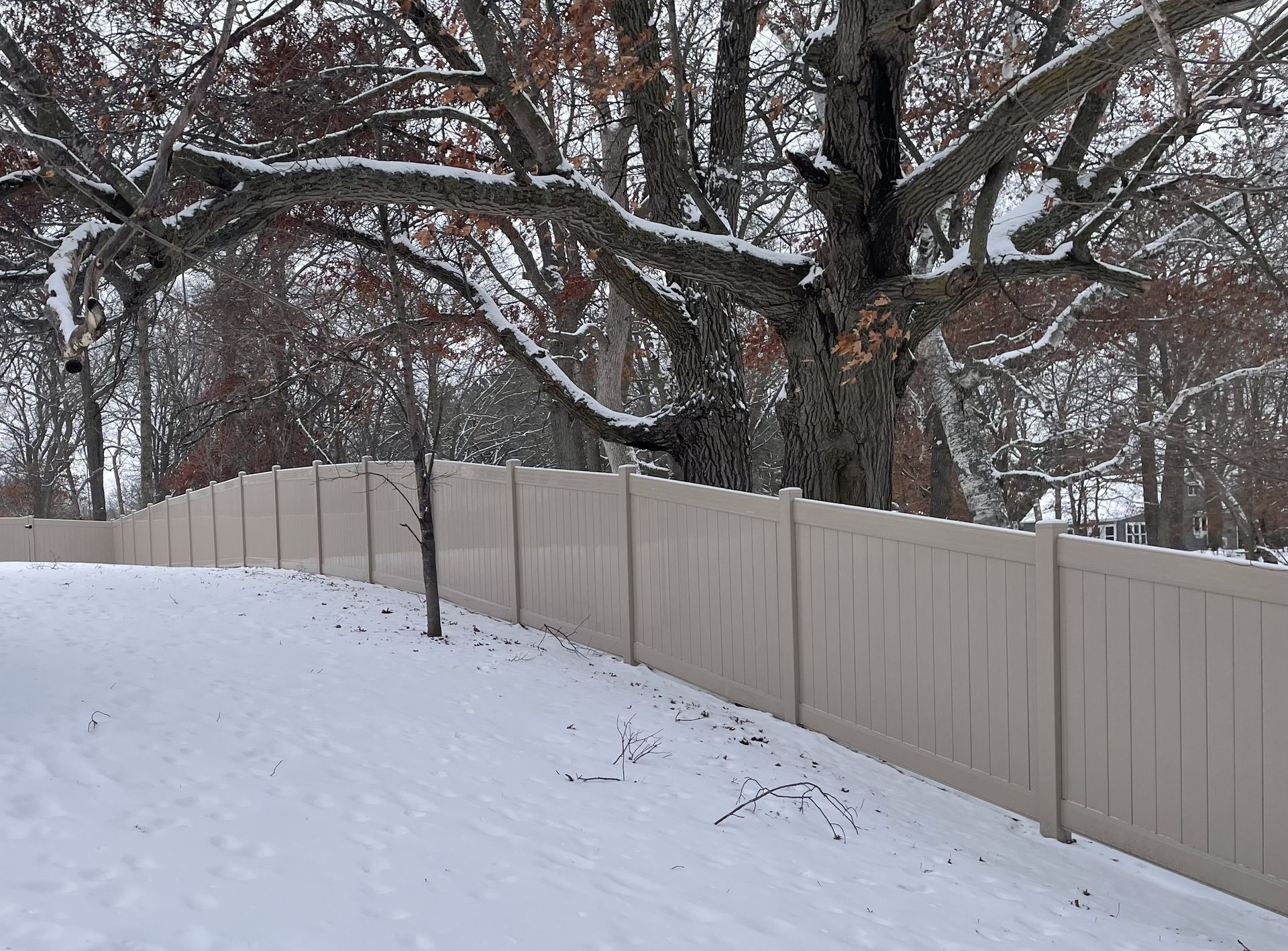 Snow-covered yard beside a tan wooden fence with leafless trees in winter.