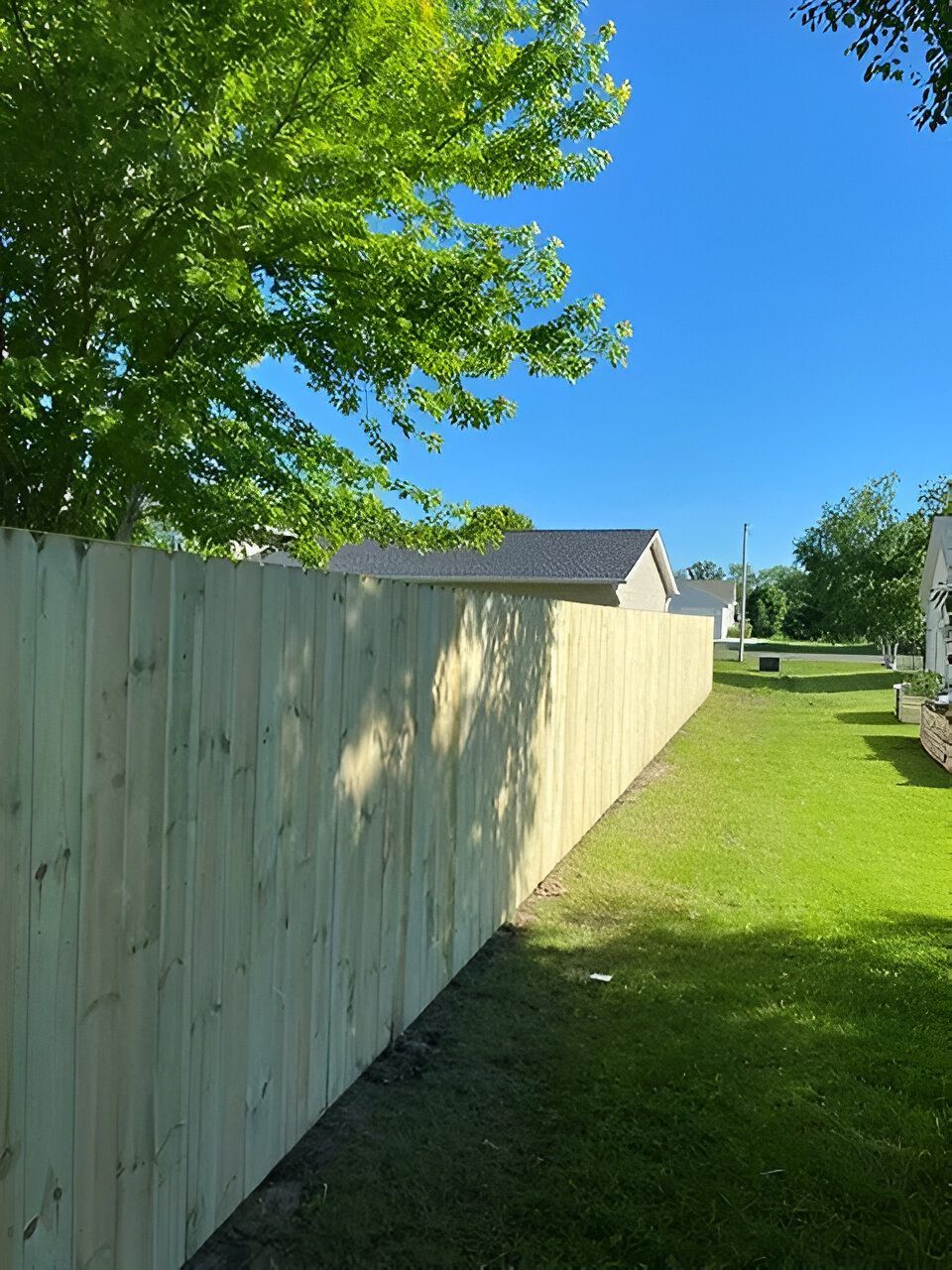Sunny backyard with a wooden fence, green lawn, trees, and a house under a blue sky